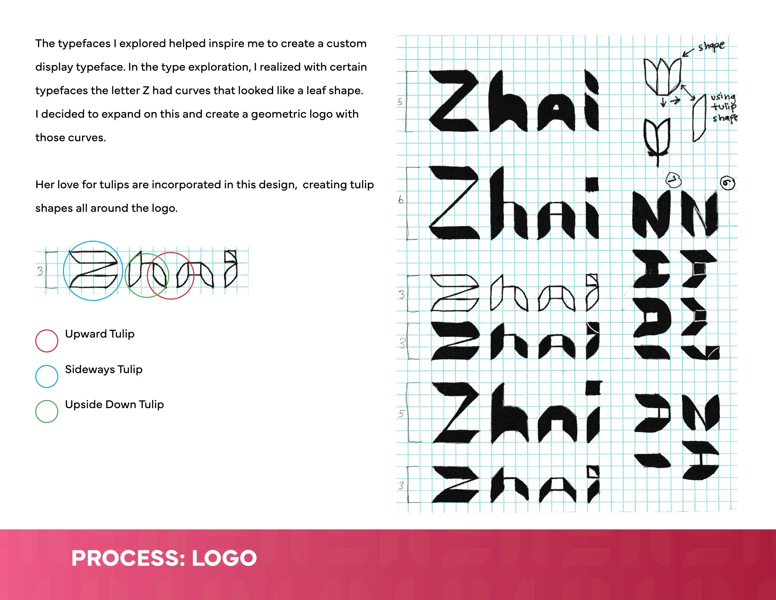 ZHAI PRESENTATION process logo 2.jpg