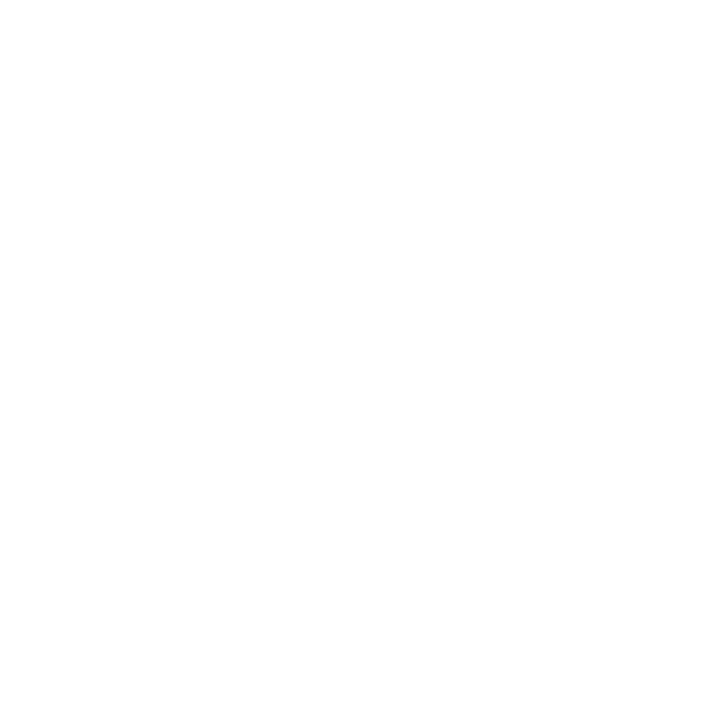 Co-Pilot Leadership