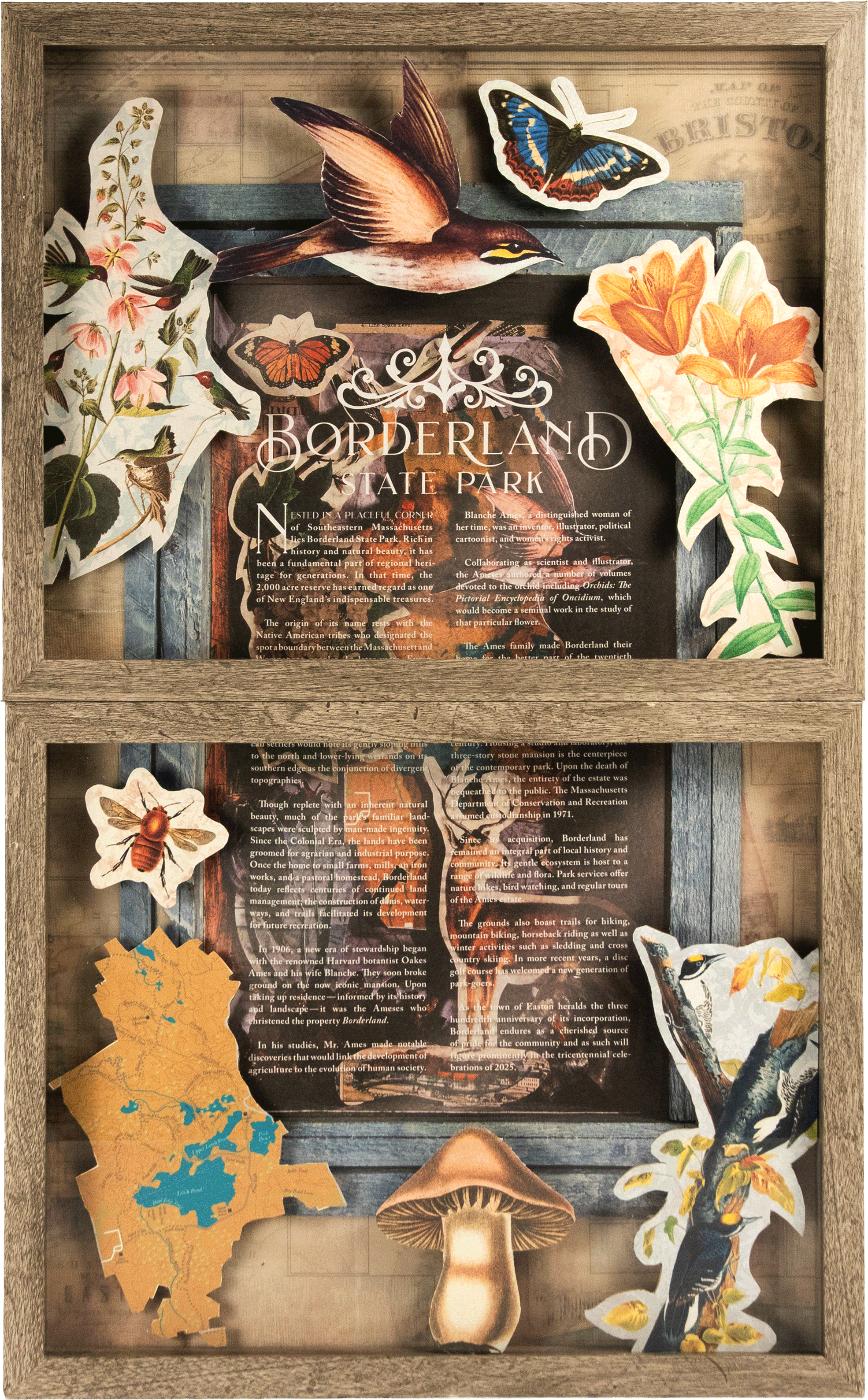 Shadowbox: The Borderland Story