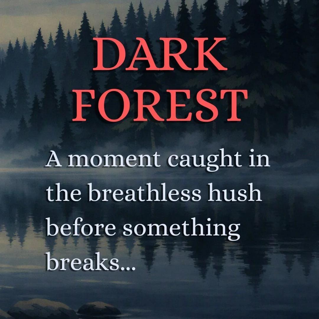 A new glimpse into Dark Forest.

Nordic nature, slow‑burn mystery, supernatural tension, and a heroine who can&rsquo;t outrun what waits for her.
October 2026.

#liahstories #liahdarkforest #indieauthor #bookstagram #mysterythriller