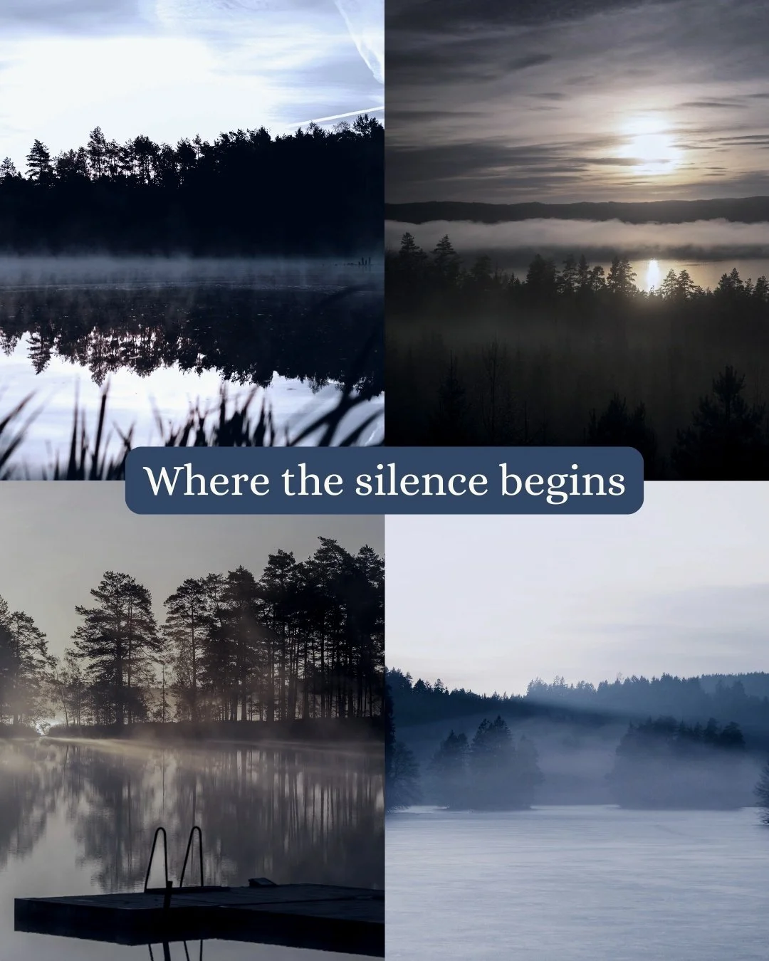 Dark Forest grows out of silence, memory and the places we return to. A moodboard for the world behind the story. 🌫️🌲🗝️🔮🖤

The English edition releases October 30, and the Kindle version is available for preorder.
	
Visuals created with stock ph