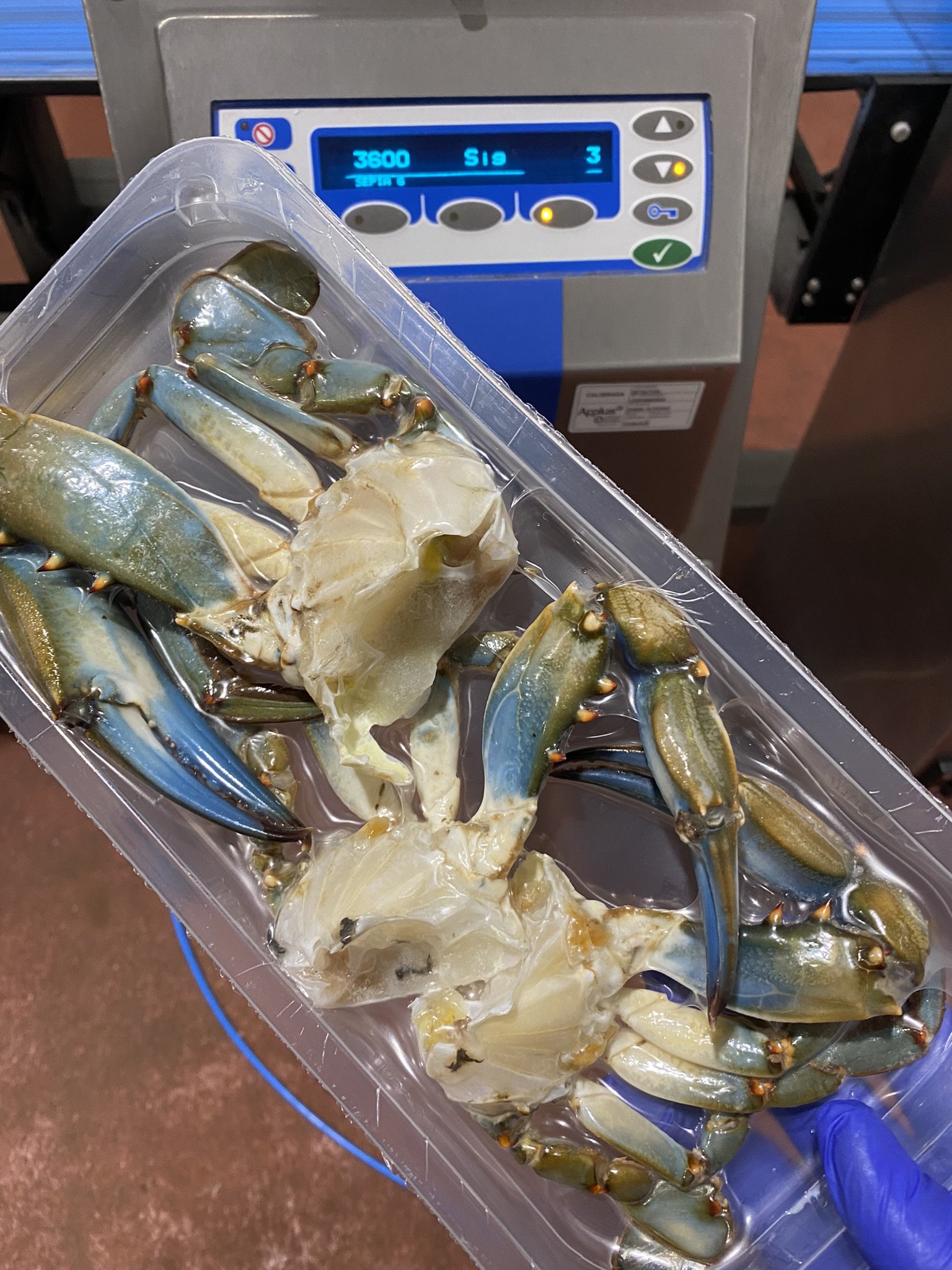 CRAEX_CLUSTER_2.jpeg