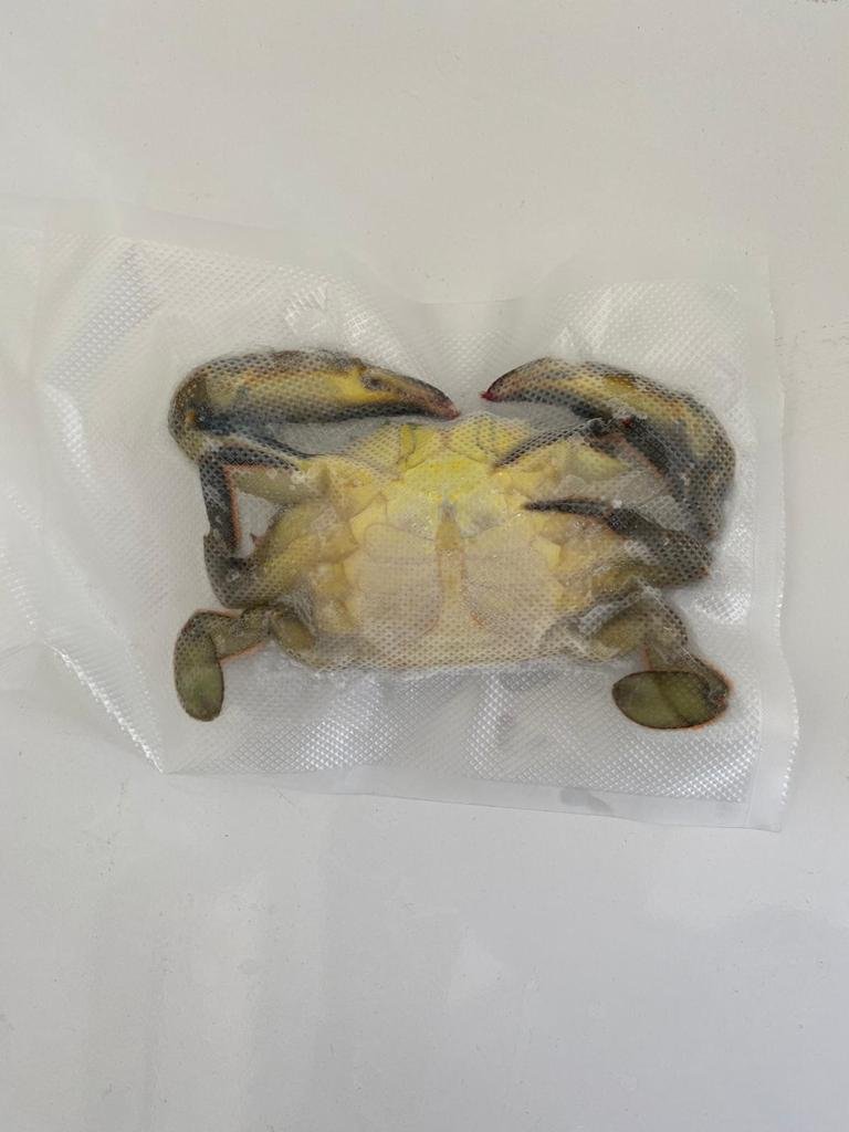 CRAEX_SOFTSHELL_3.jpeg