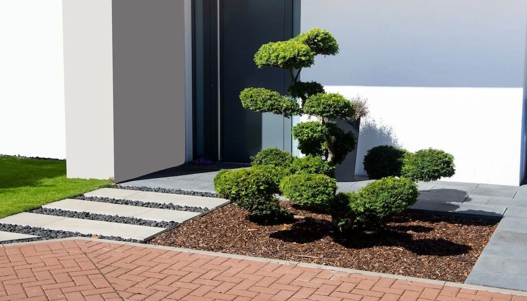 modern garden with abstractly pruned shrub