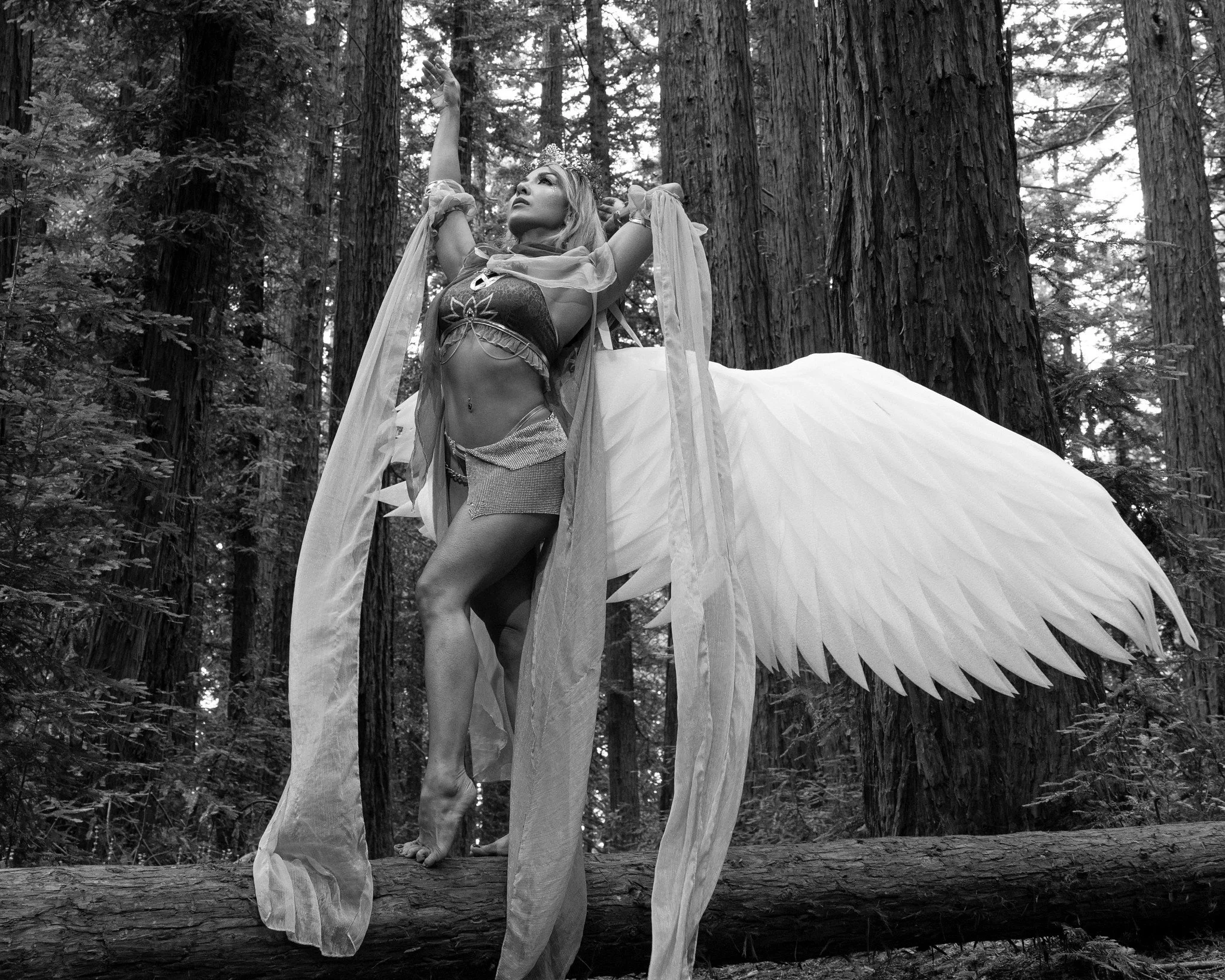 Nerysta's Treasure-232-Edit.jpg