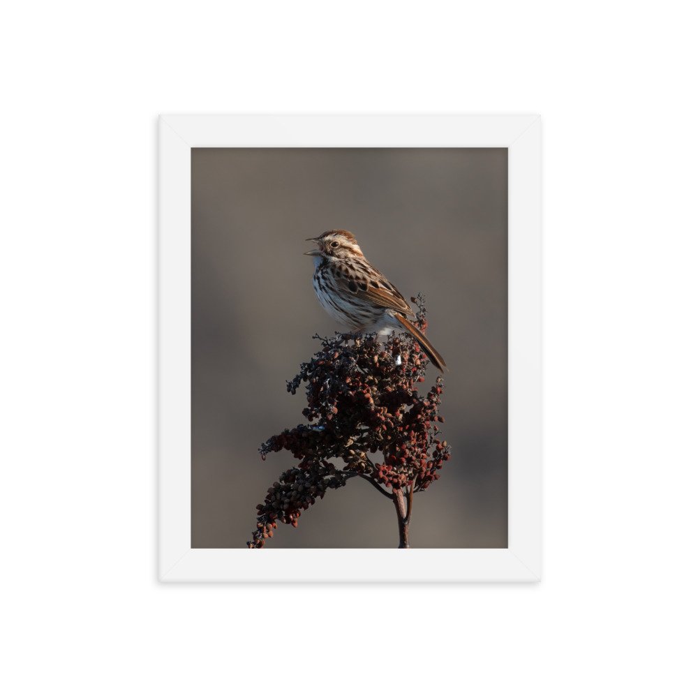 enhanced-matte-paper-framed-poster-(in)-white-8x10-transparent-66352bdb4fb2d.jpg