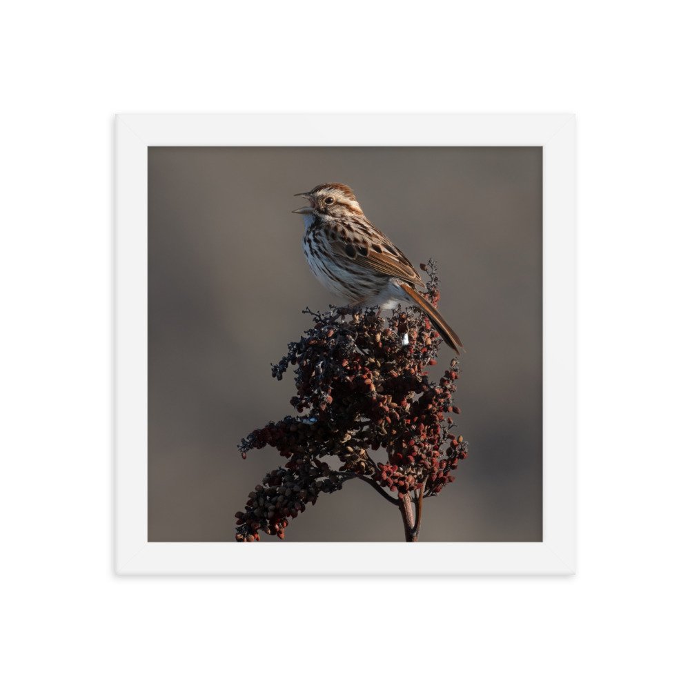 enhanced-matte-paper-framed-poster-(in)-white-10x10-transparent-66352bdb4fb9c.jpg