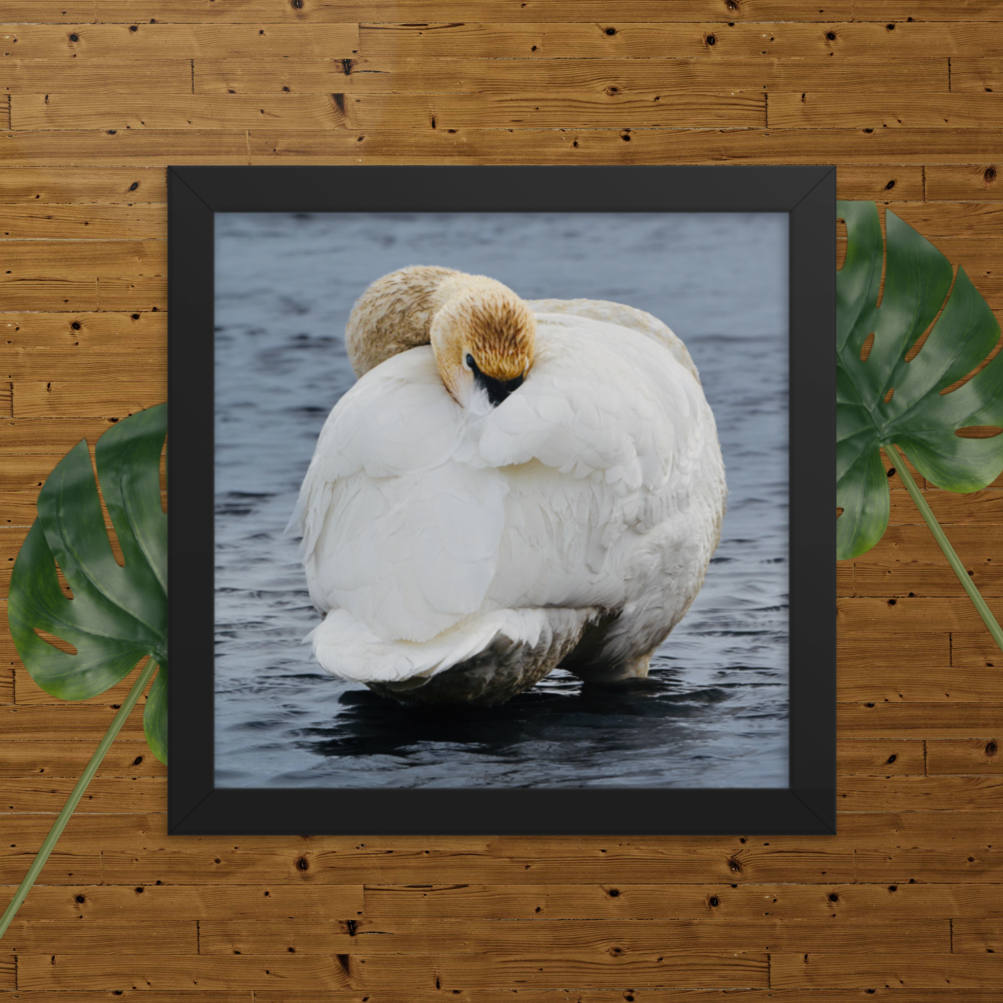 enhanced-matte-paper-framed-poster-(in)-black-10x10-transparent-66b68037ef85b.png