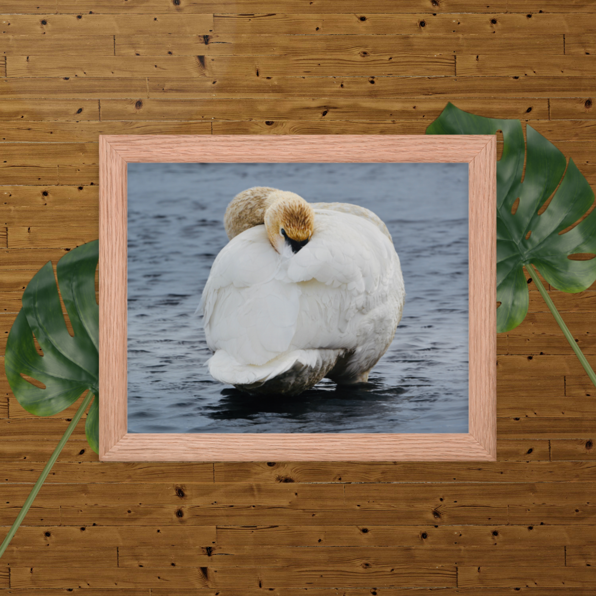 enhanced-matte-paper-framed-poster-(in)-red-oak-8x10-transparent-66b680380cbcb.png