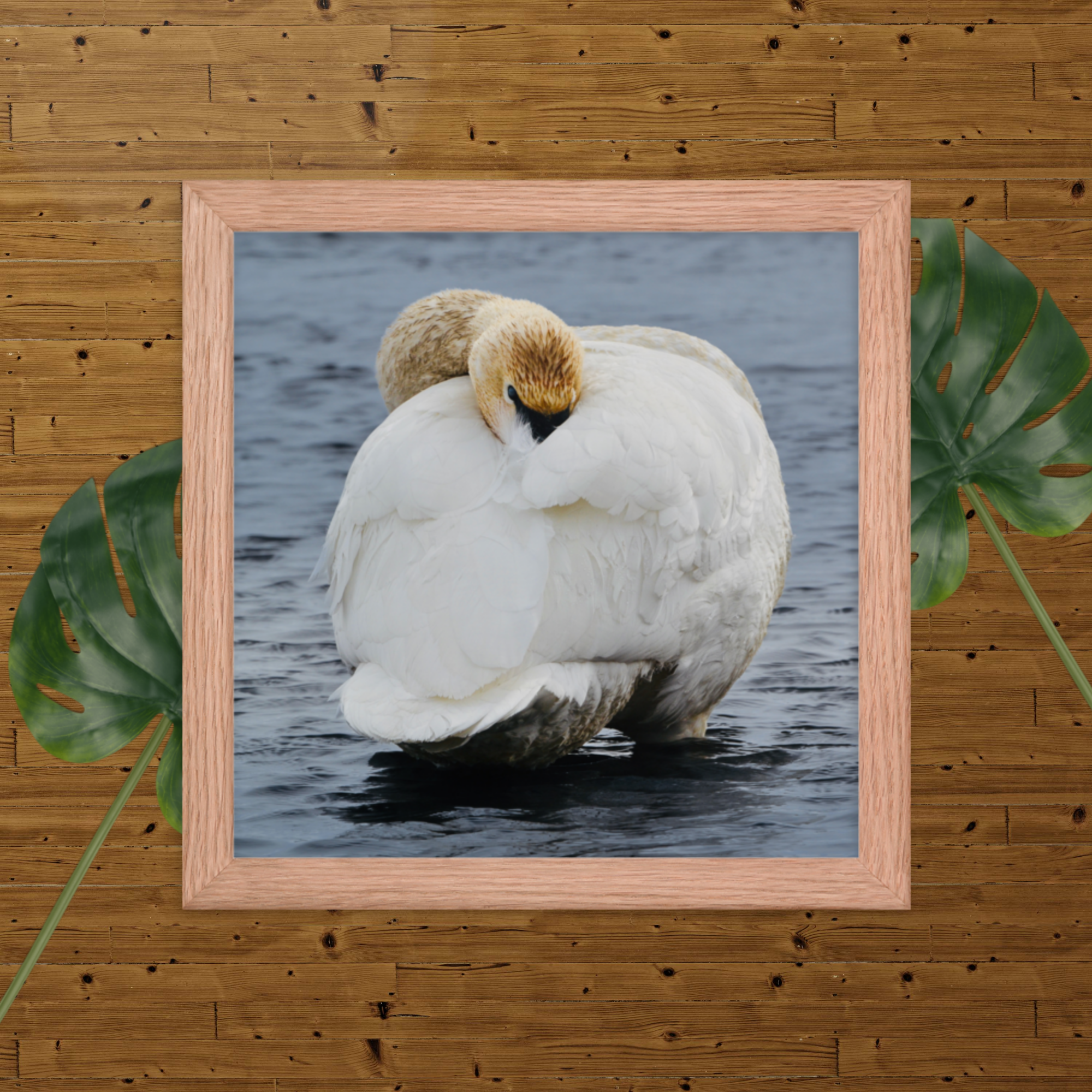 enhanced-matte-paper-framed-poster-(in)-red-oak-10x10-transparent-66b68037f36b9.png