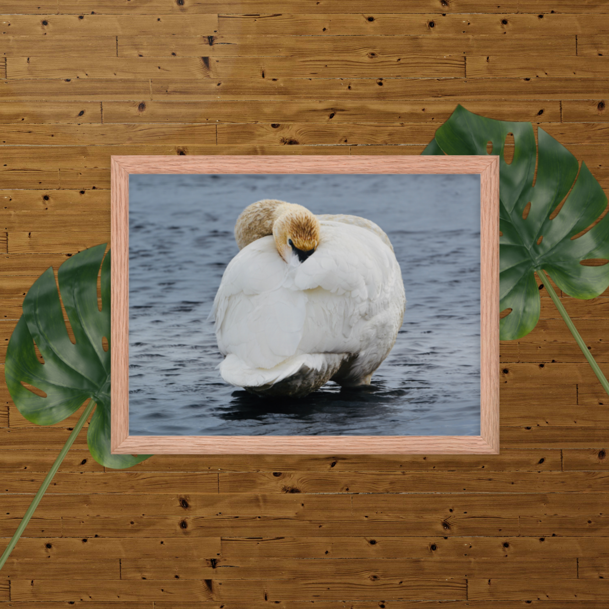enhanced-matte-paper-framed-poster-(in)-red-oak-12x16-transparent-66b68037e583f.png