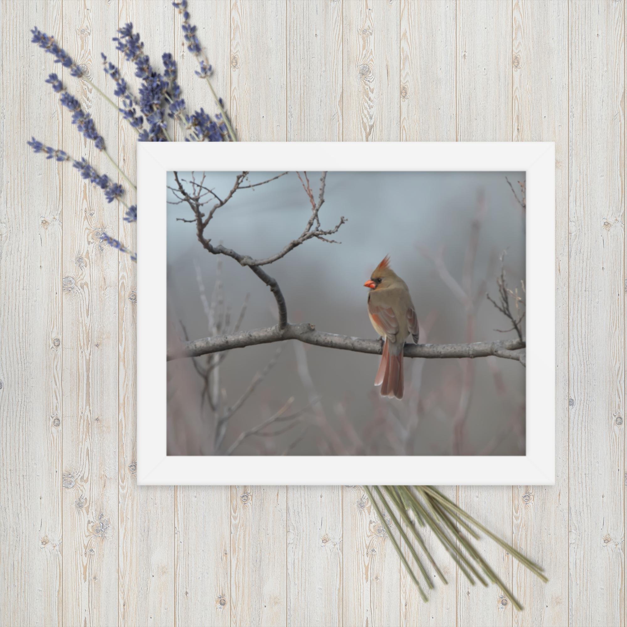 enhanced-matte-paper-framed-poster-(in)-white-8x10-transparent-66b77486440e8.jpg