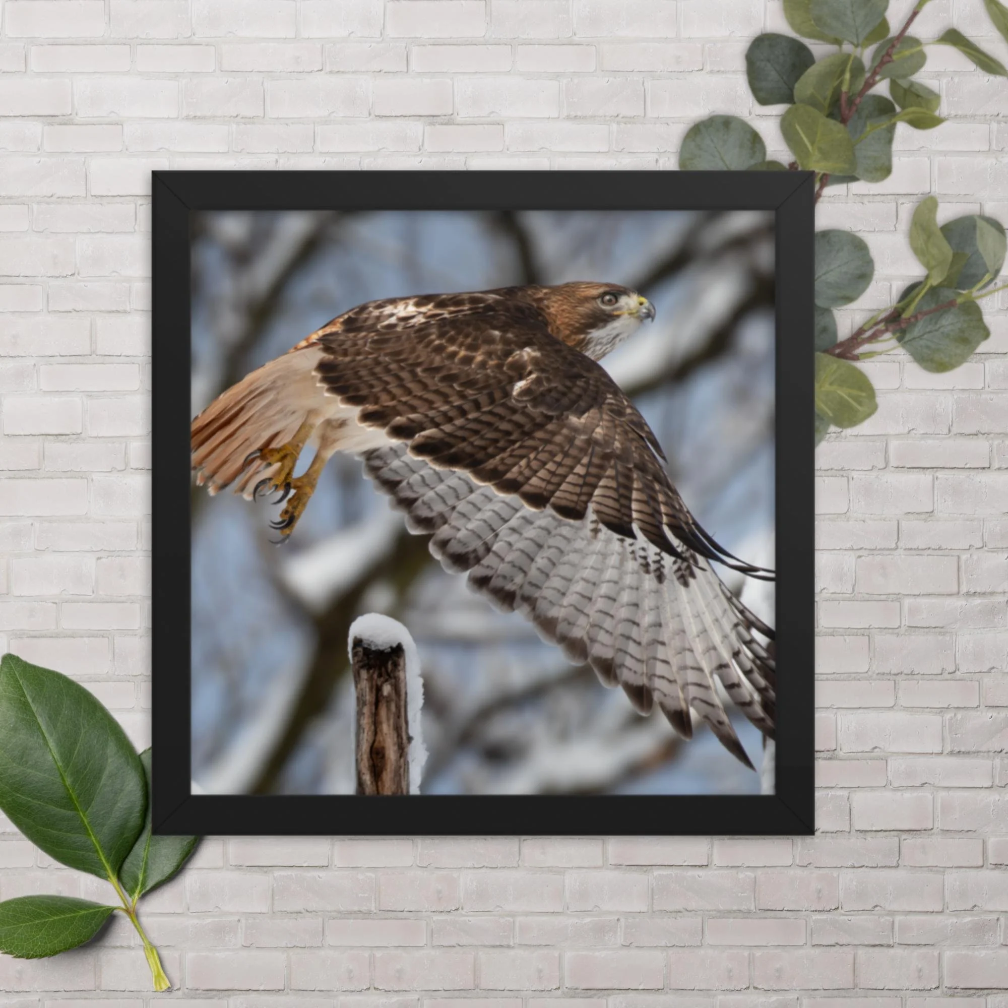 enhanced-matte-paper-framed-poster-(in)-black-12x12-transparent-66b776fcc3252.jpg