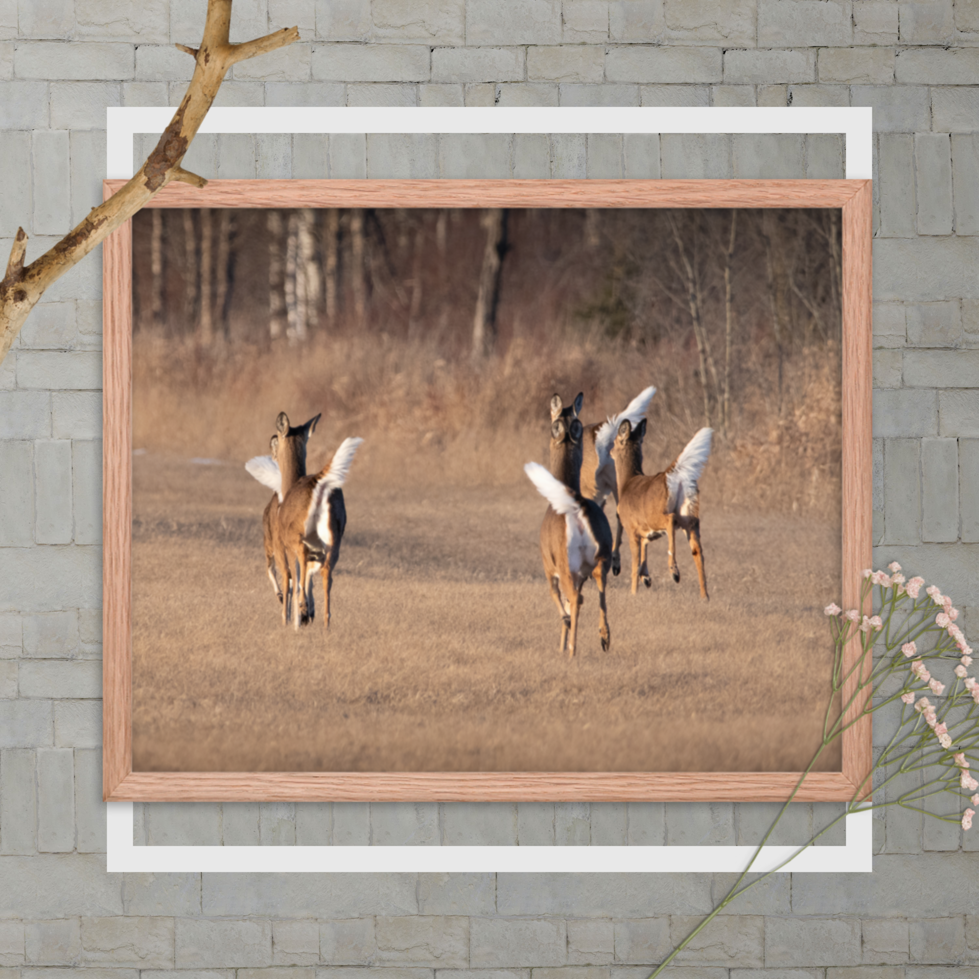 enhanced-matte-paper-framed-poster-(in)-red-oak-16x20-transparent-66cf575261cc0.png