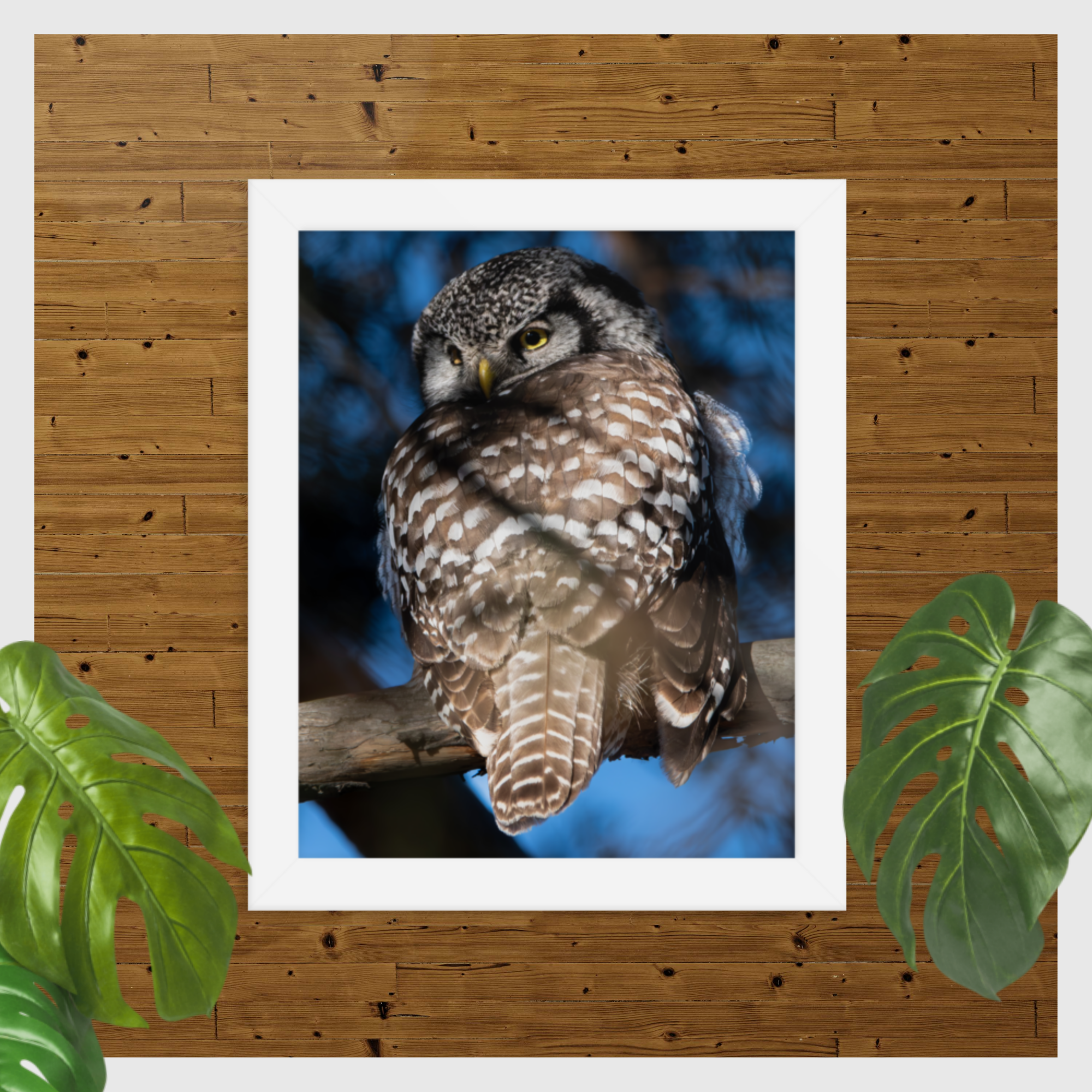 enhanced-matte-paper-framed-poster-(in)-white-8x10-transparent-66d49fb08a6f5.png