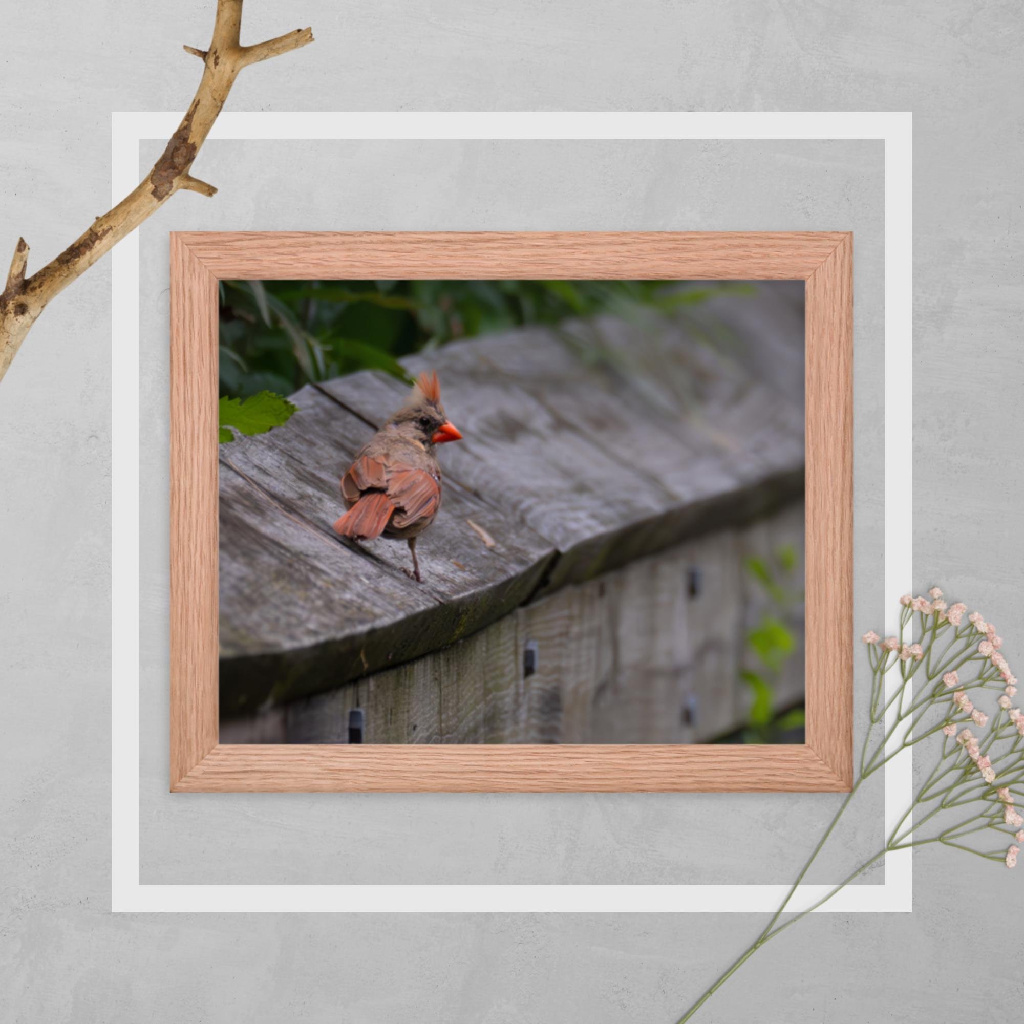 enhanced-matte-paper-framed-poster-(in)-red-oak-8x10-transparent-66d8fa9562f52.jpg