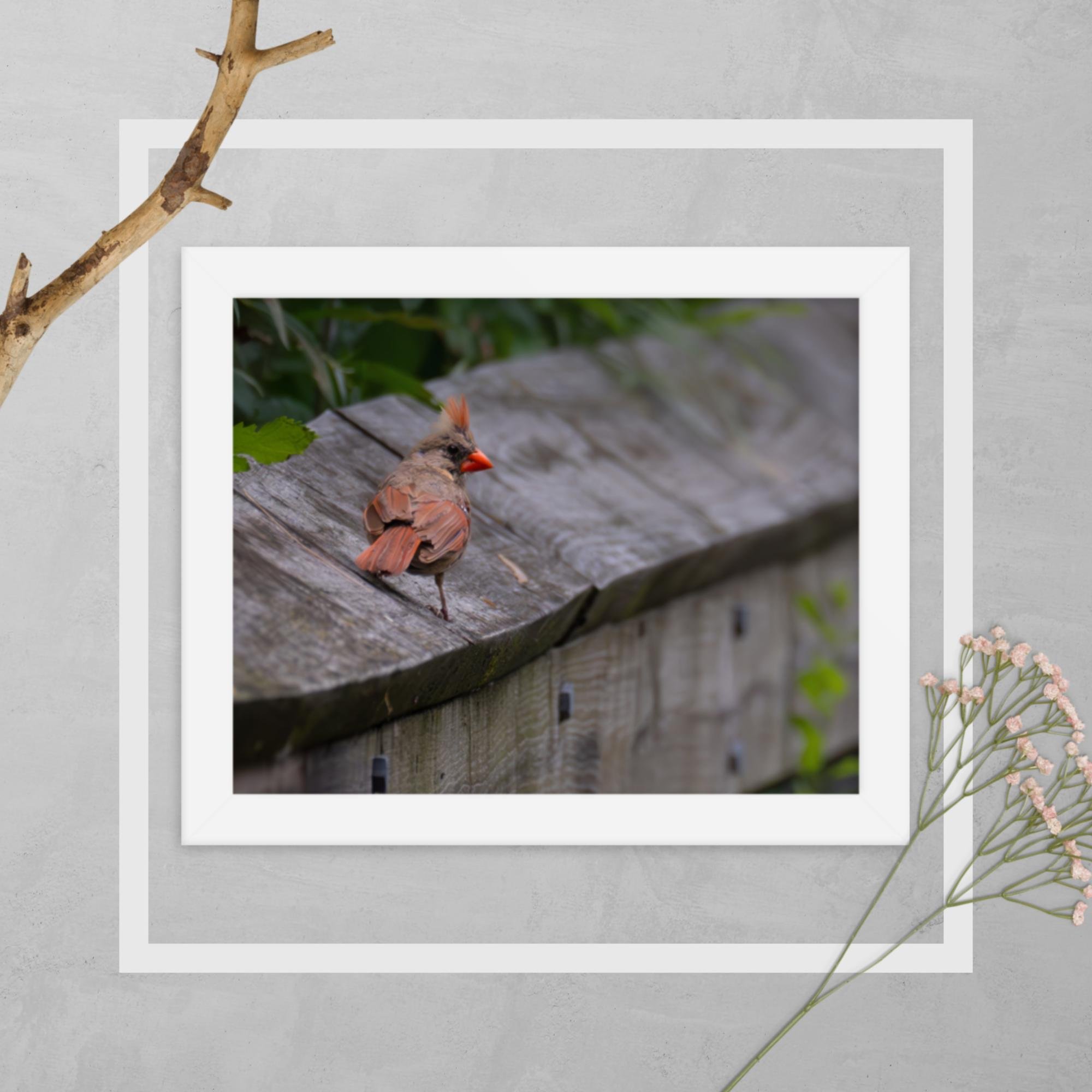 enhanced-matte-paper-framed-poster-(in)-white-8x10-transparent-66d8fa9560d7c.jpg