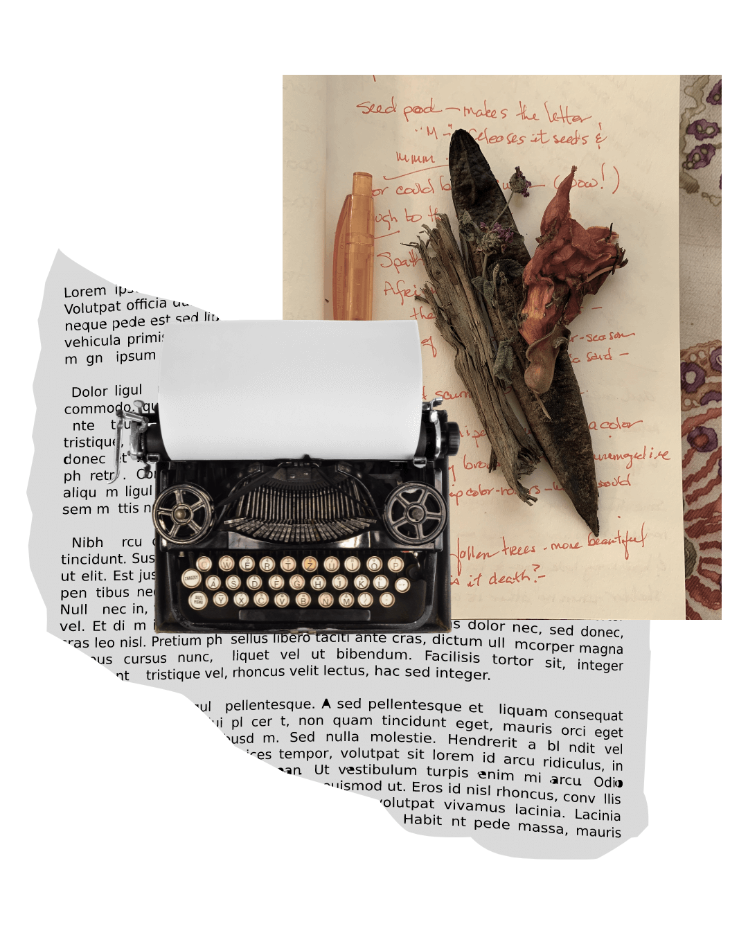 Writing — Judy Reeves