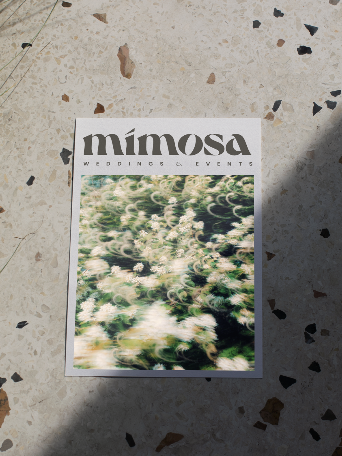 Mimosa Weddings & Events Logo