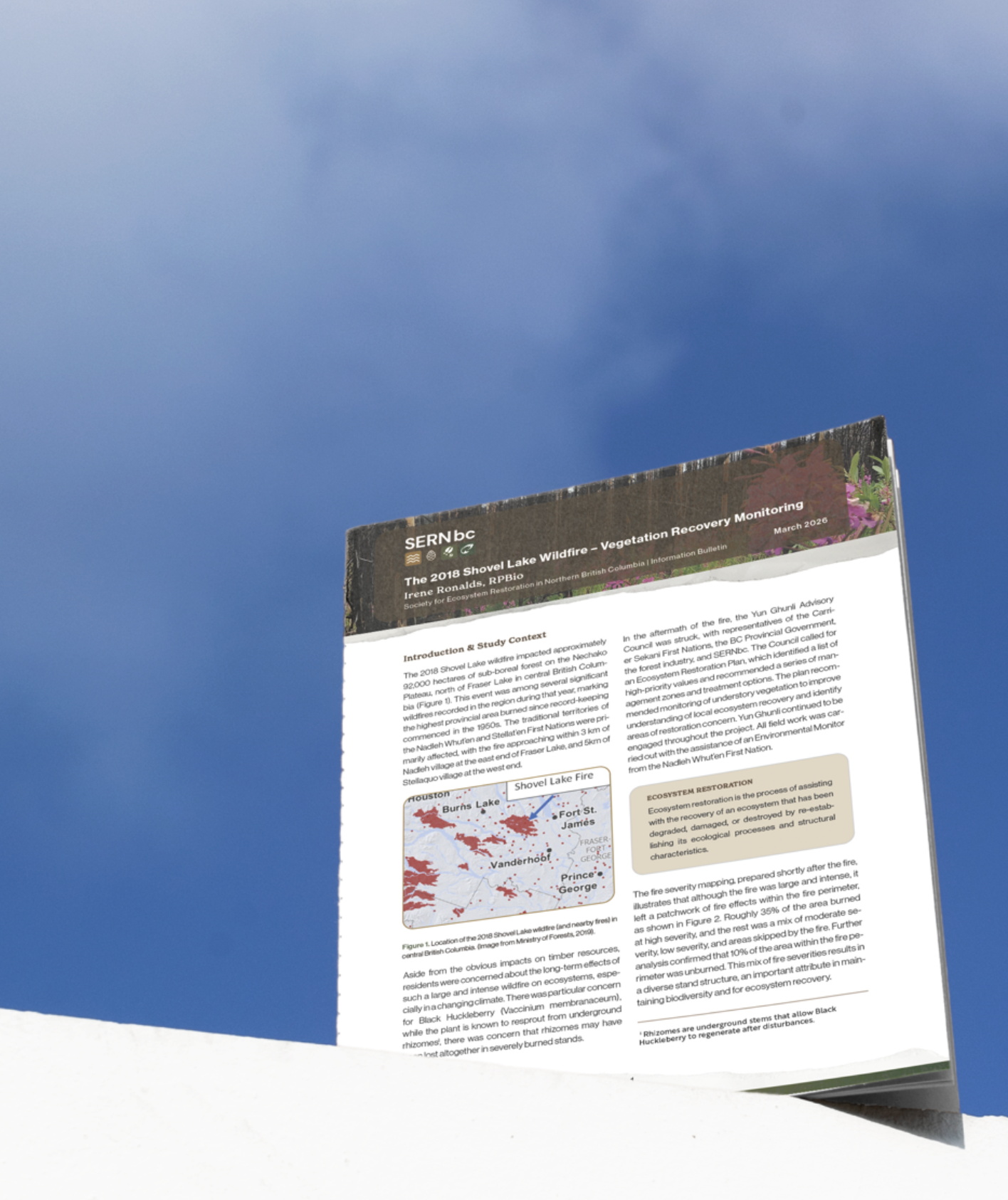 SERNBC Wildfire Research Report - Shovel Lake Fire by Irene Ronalds