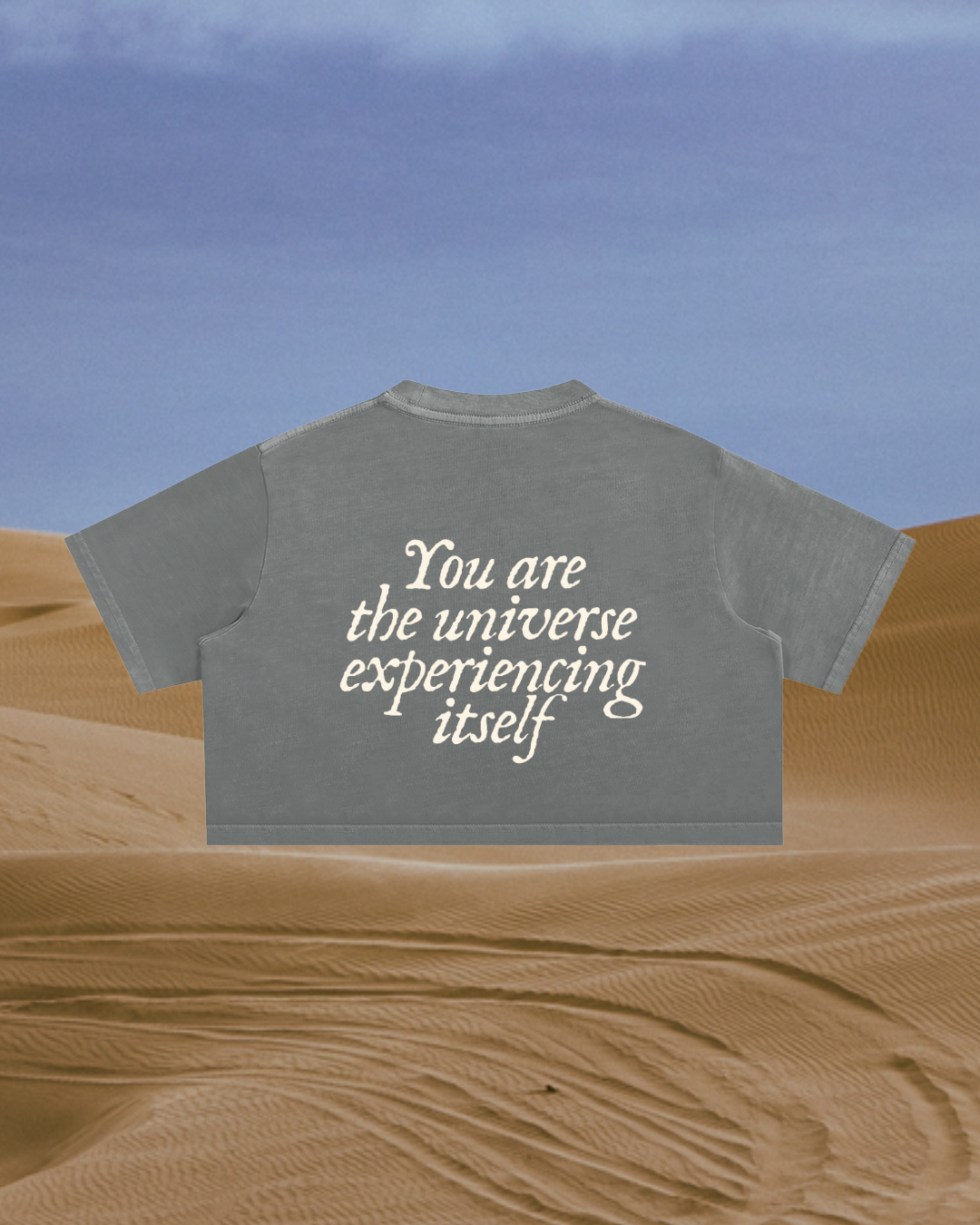 Everything's Aligning Crop Tee