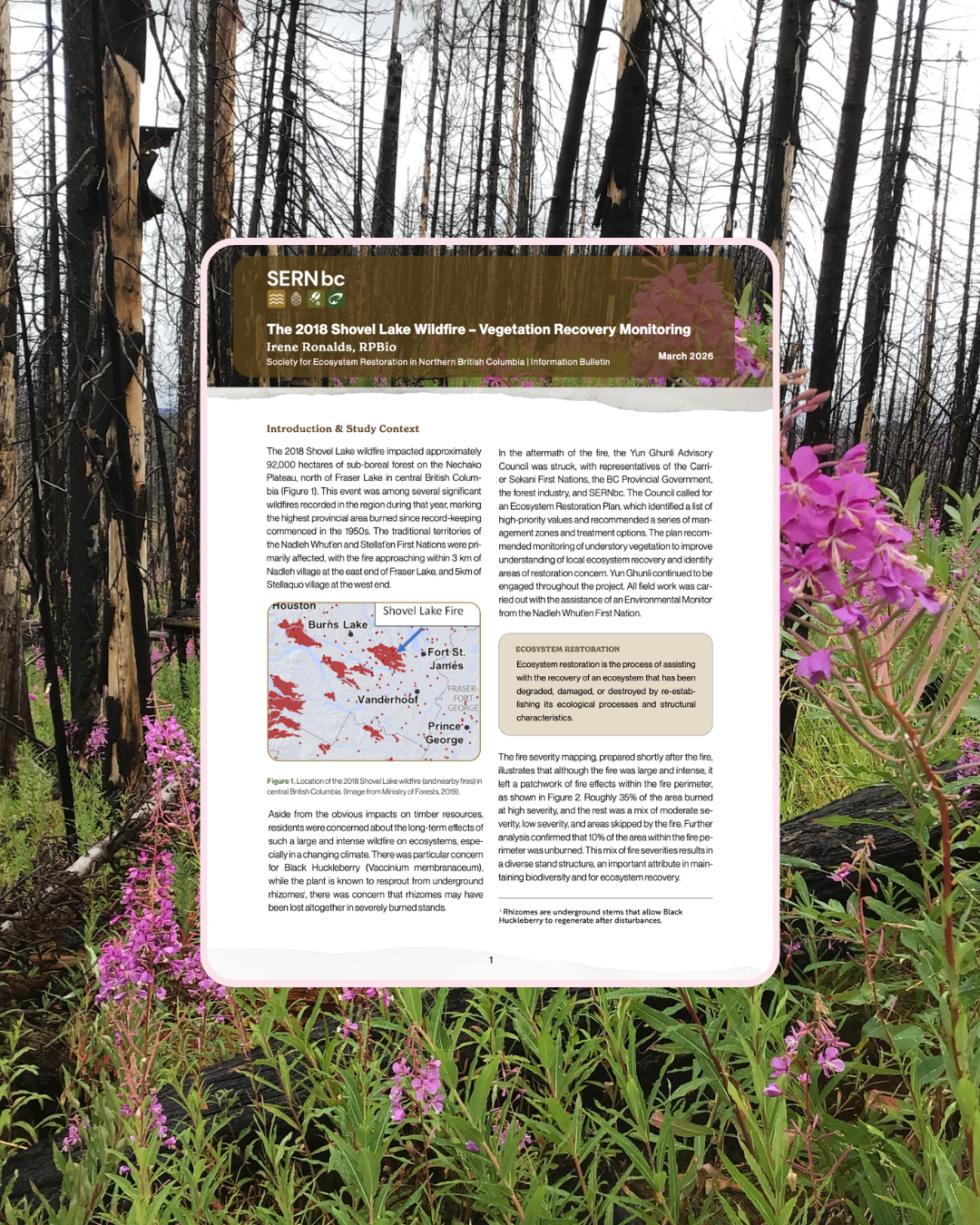 SERNBC Wildfire Research Report - Shovel Lake Fire by Irene Ronalds