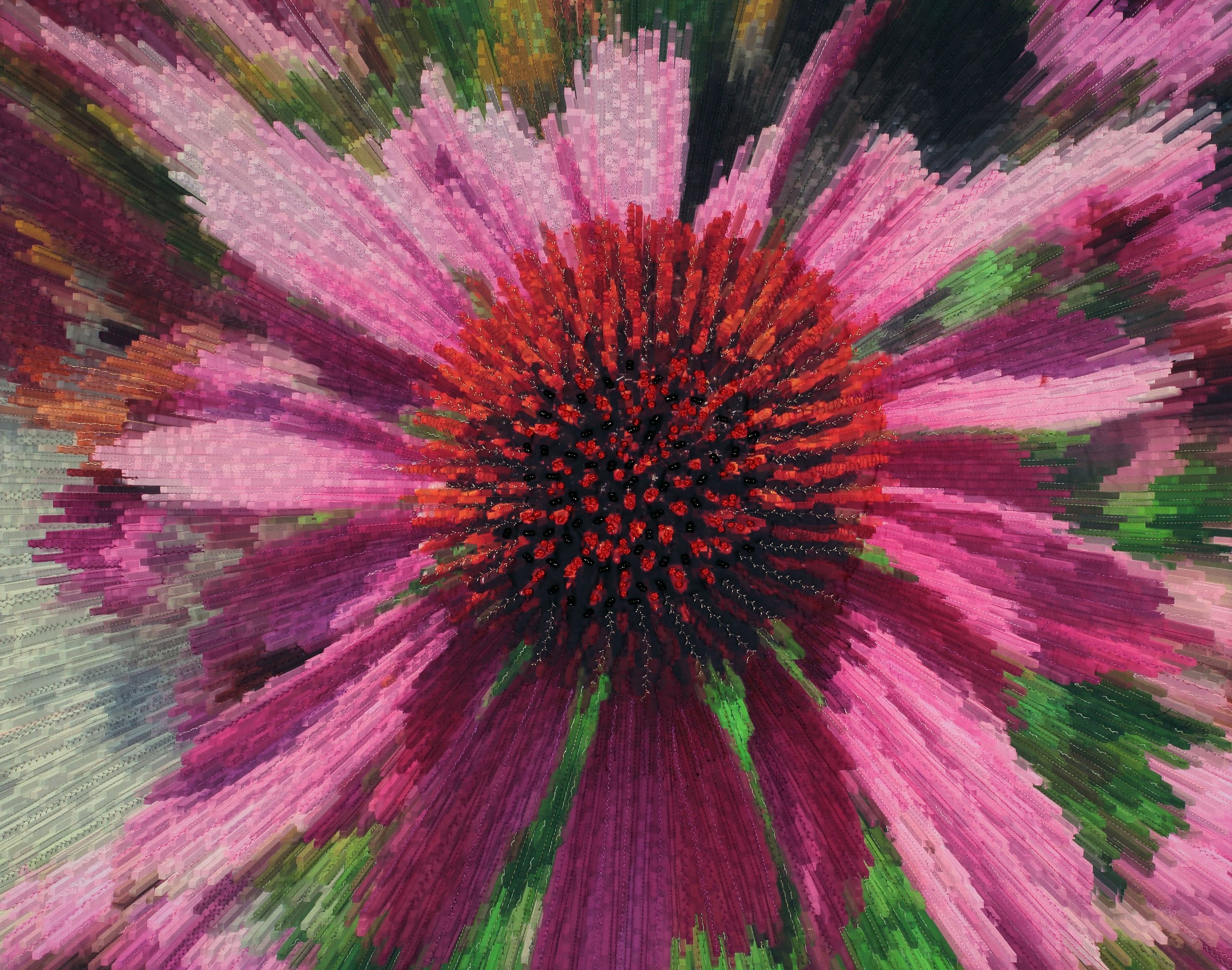 Pink Echinacea_25_5x32_2022 copy.jpeg