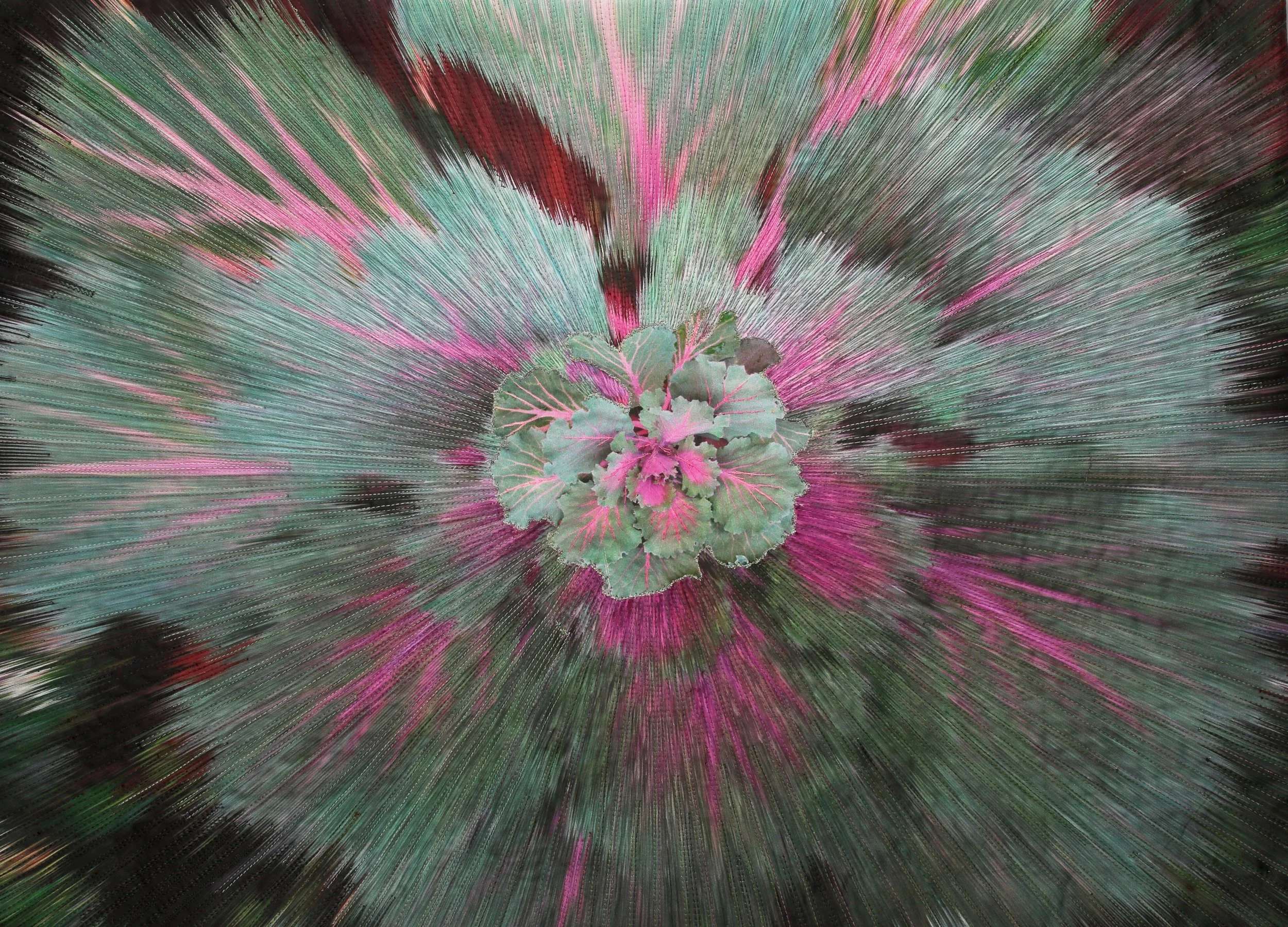 Cabbage_20x28_2022 copy.jpeg