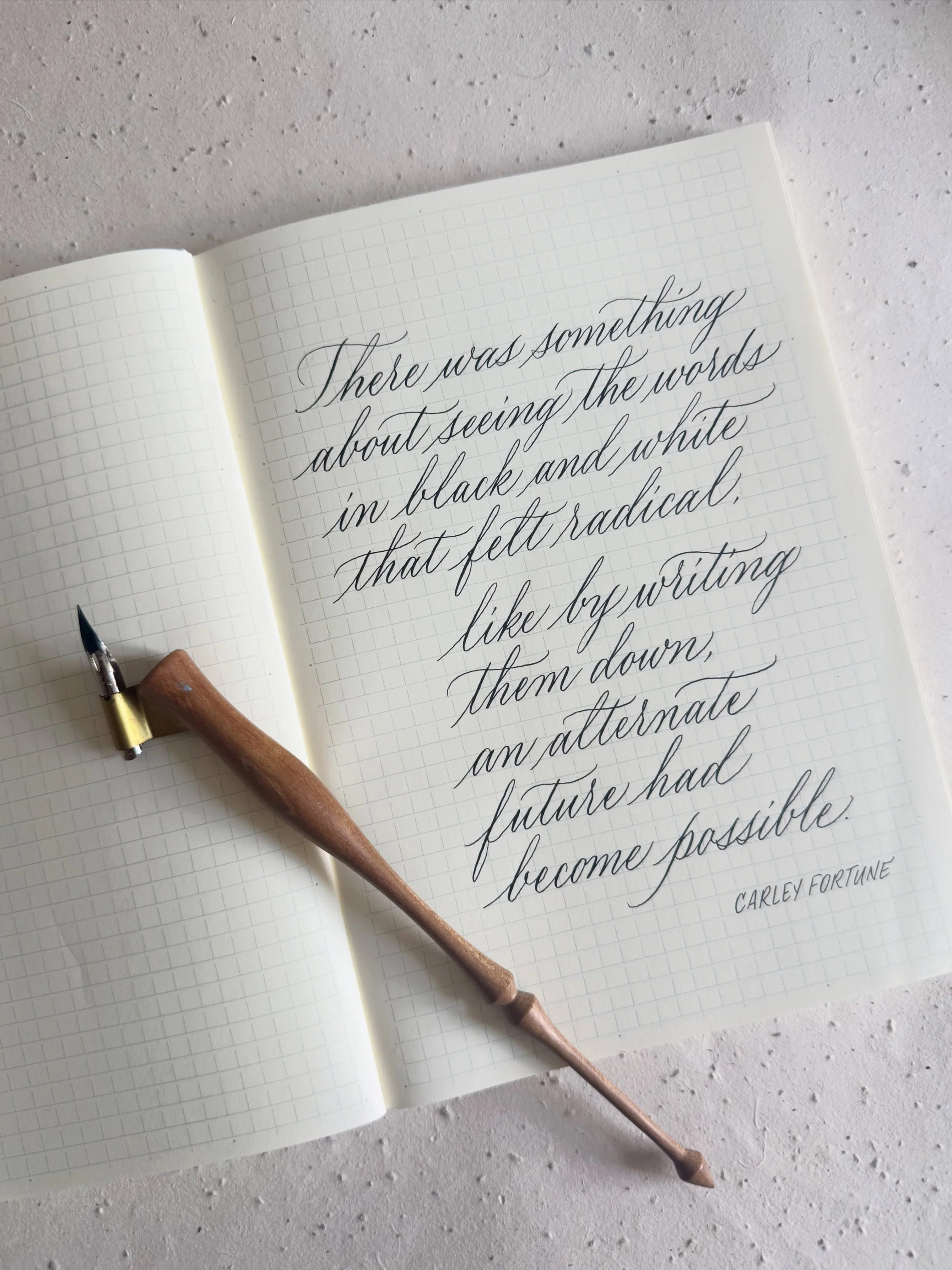 &ldquo;There was something about seeing the words in black and white that felt radical, like by writing them down, an alternate future had become possible.&rdquo; - @carleyfortune, Meet Me at the Lake

There&rsquo;s something magical when you come ac