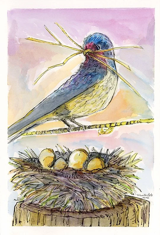 Suspended Devotion 
Year: 2026 
Watercolor w/Black Inks on Cold Press 
Size: 7.5in x 12in 