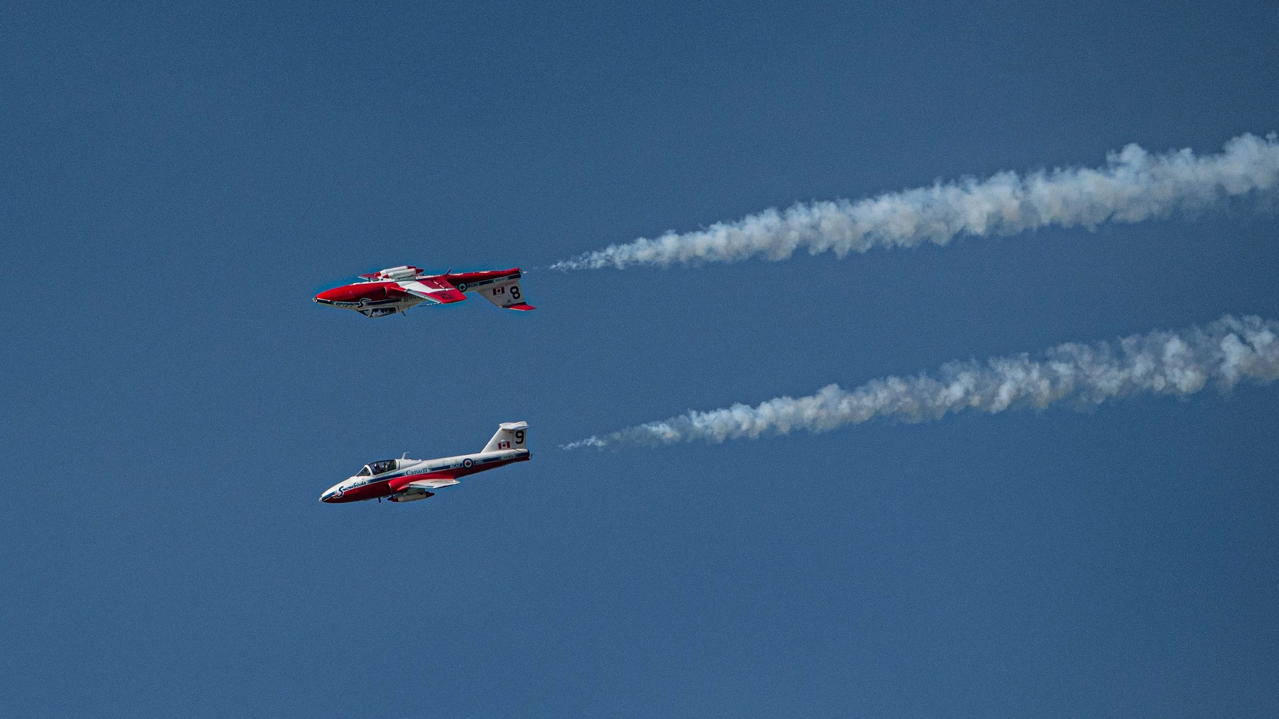 Canadian Snowbirds - up and down 