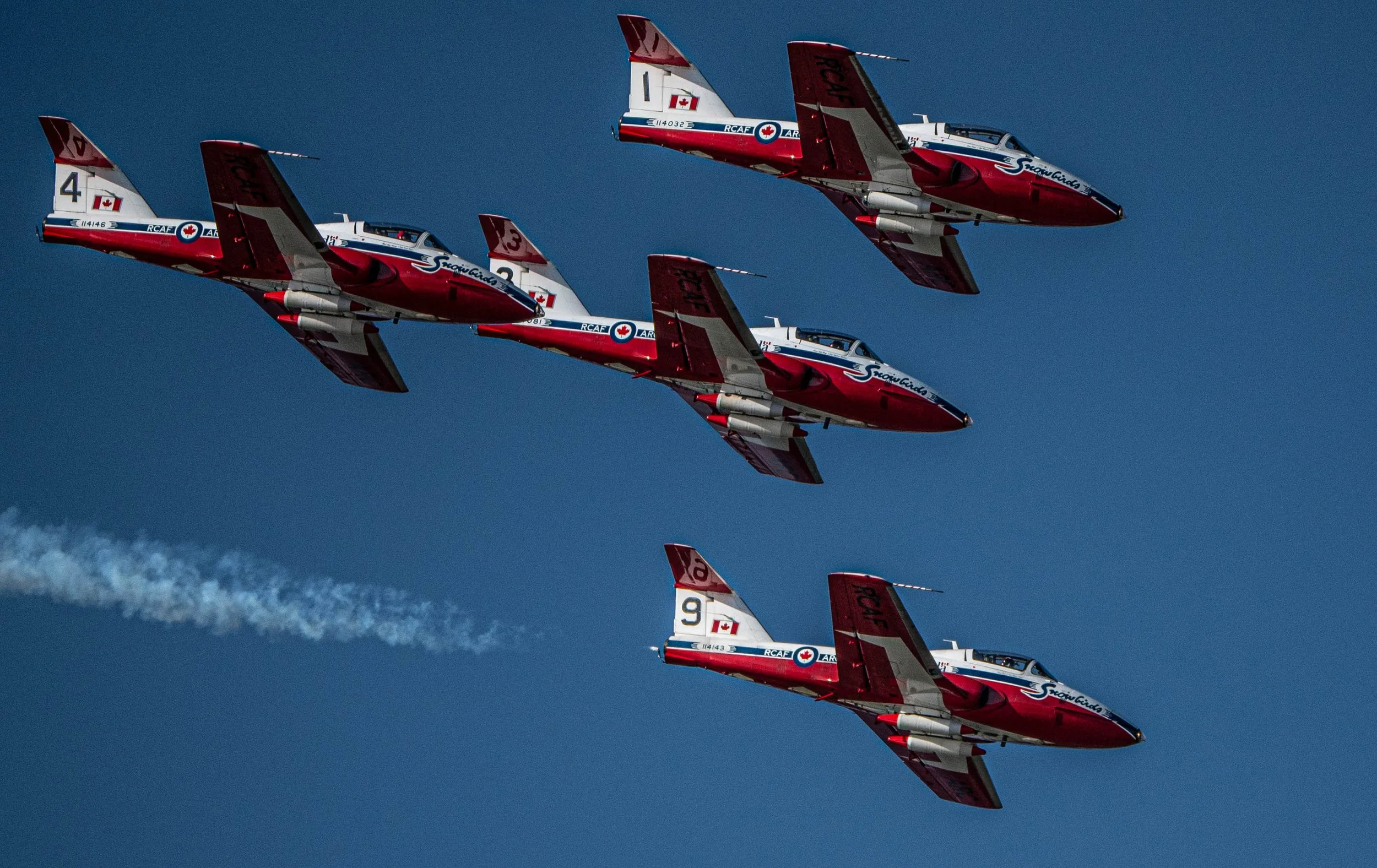 Canadian Snowbirds - close up!