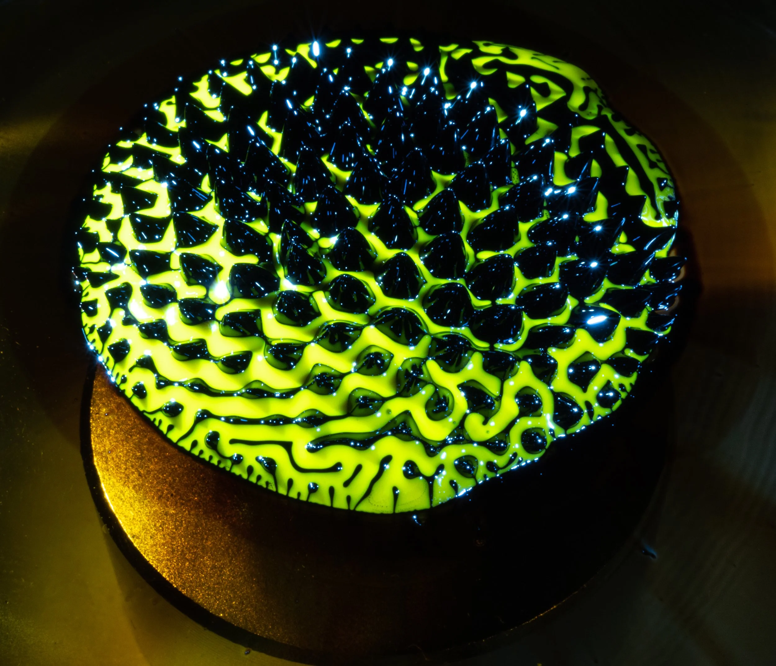 Close-Up Photography