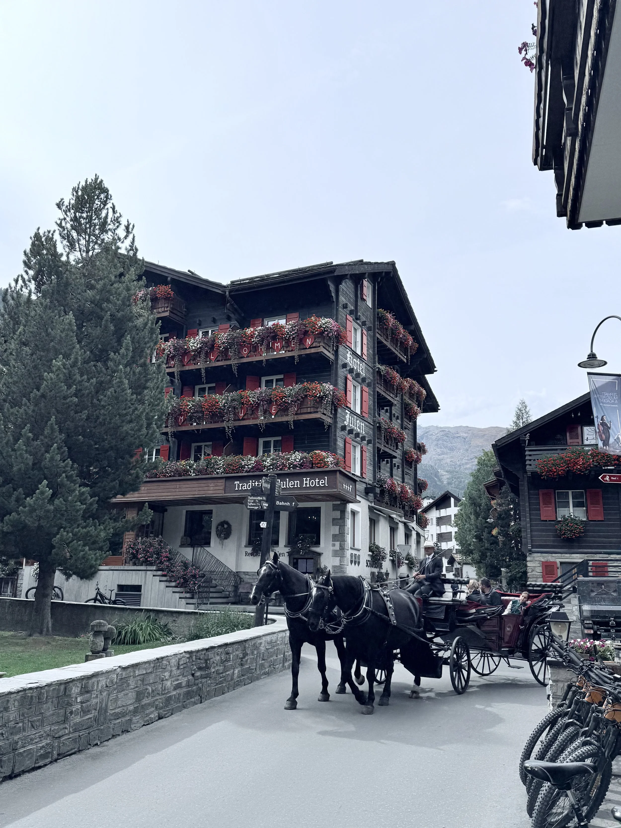 IMG_3051.jpeg