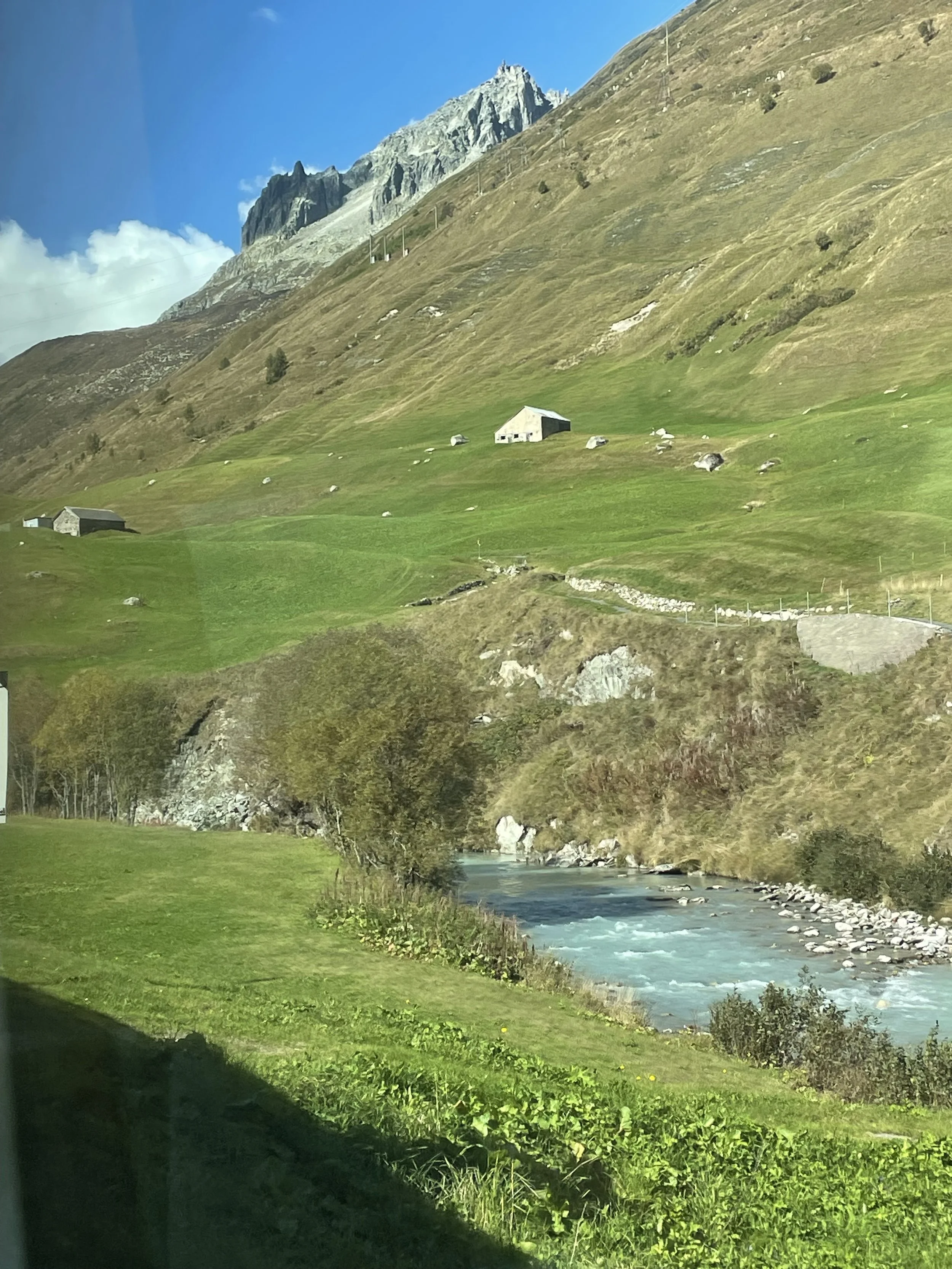 IMG_5133.jpeg