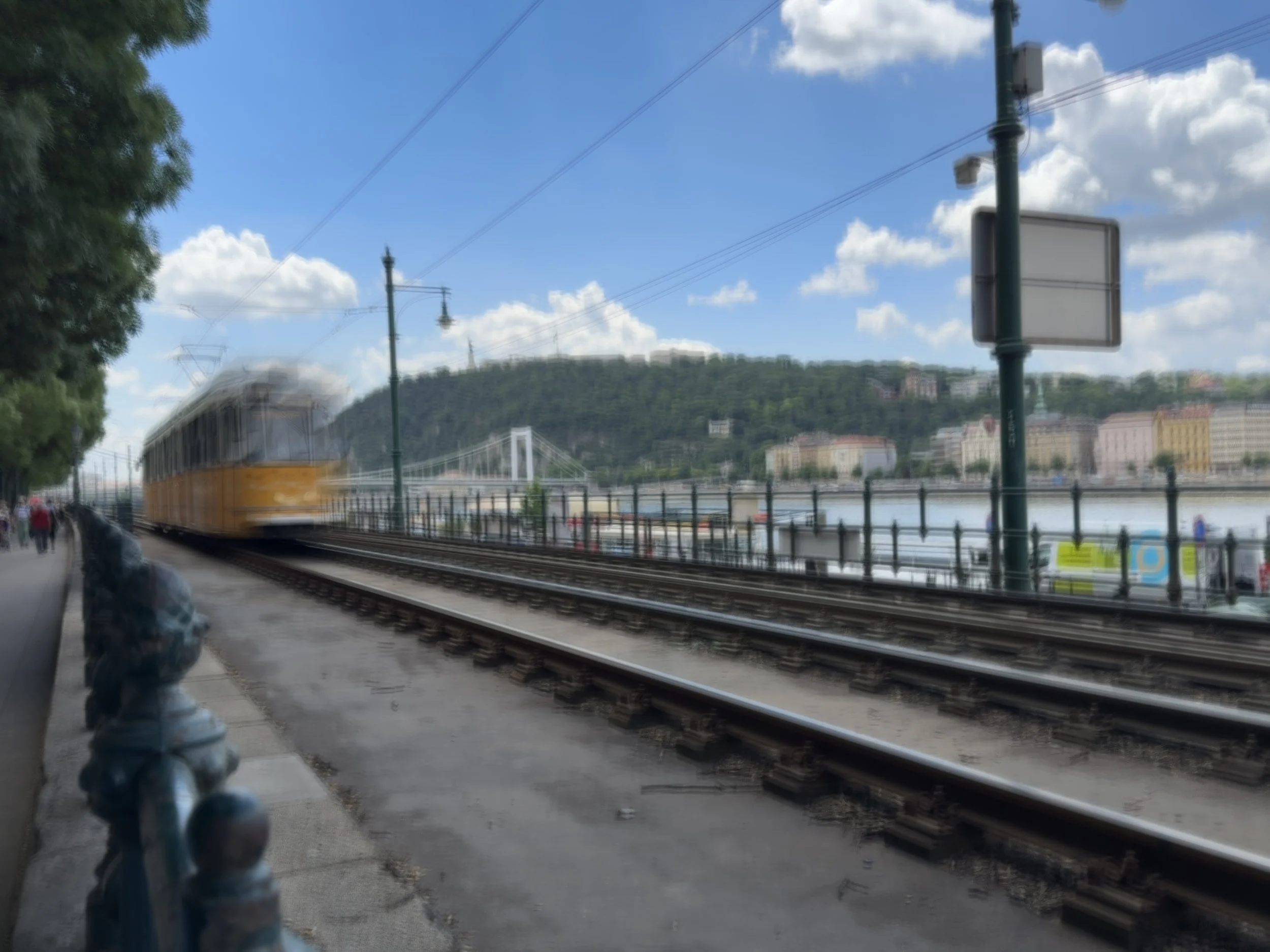 IMG_4275.jpeg