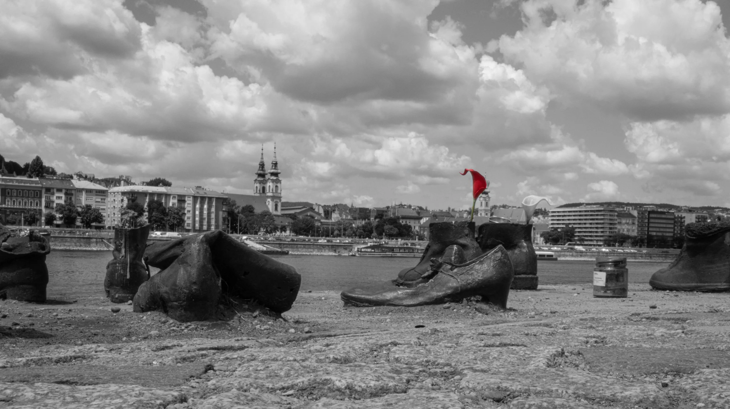 P1072337-2.jpg