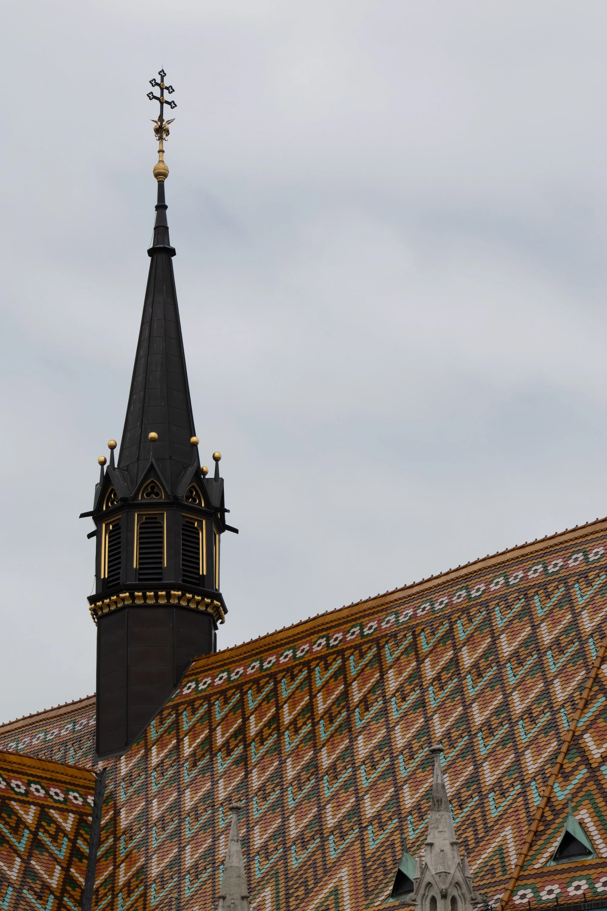 P1072387.jpg