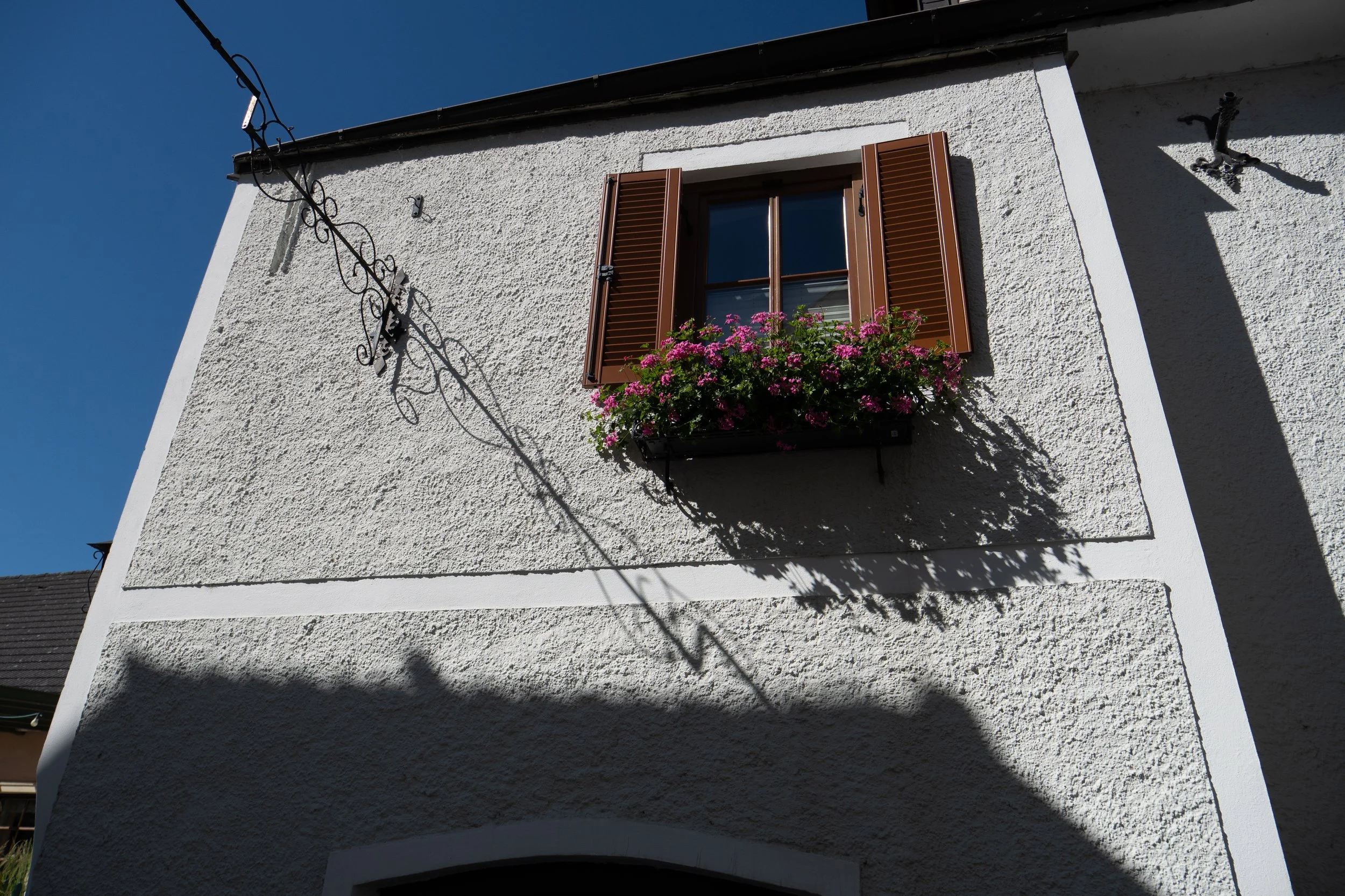 P1072485.jpg
