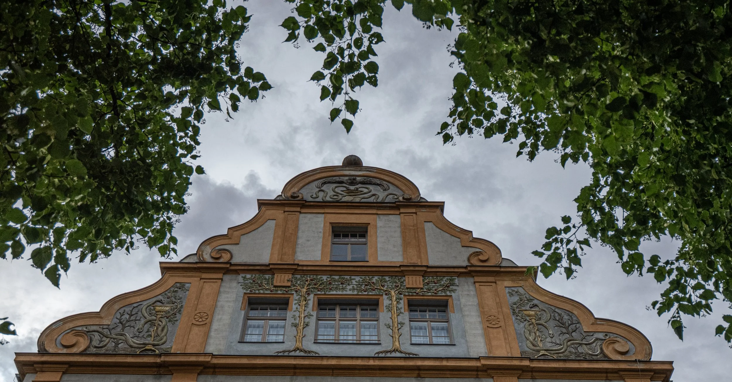 P1072591.jpg