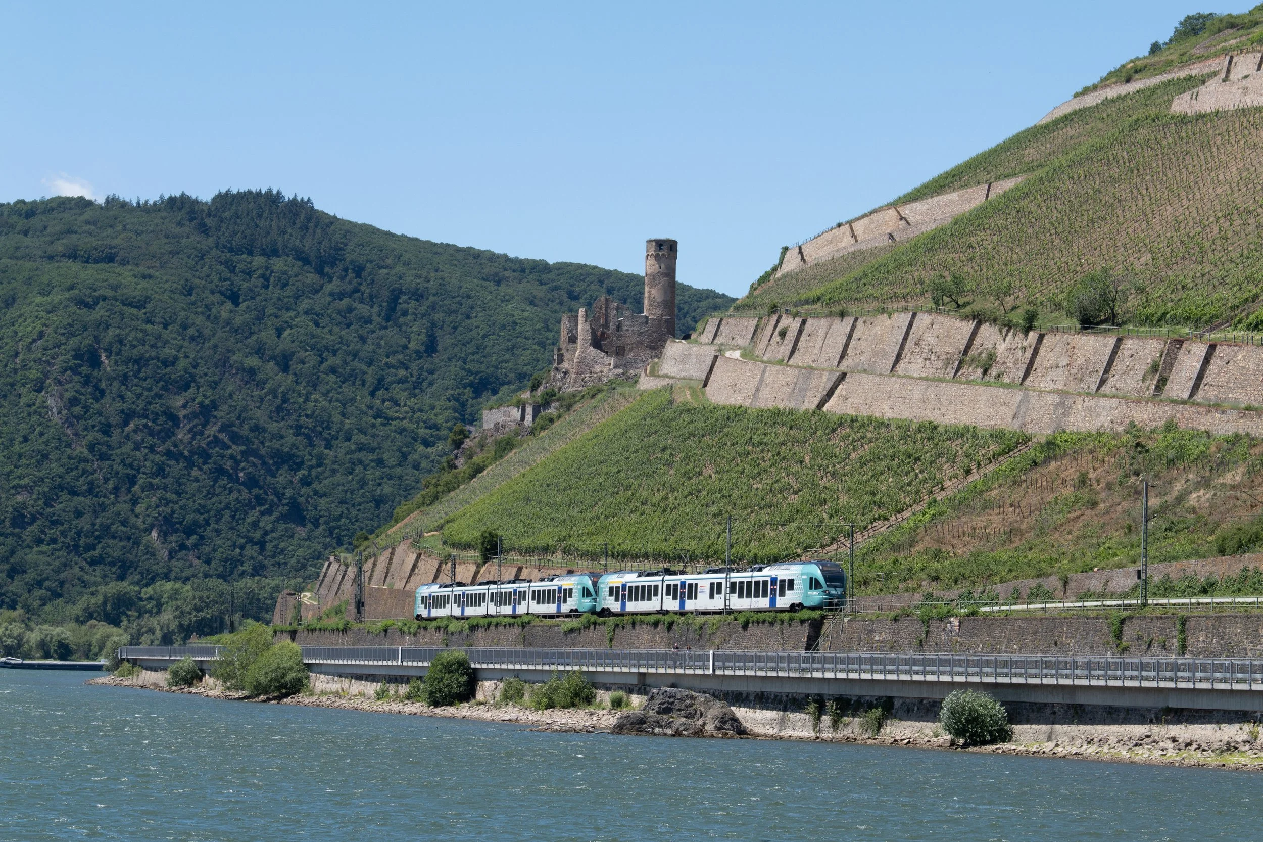 P1072666.jpg