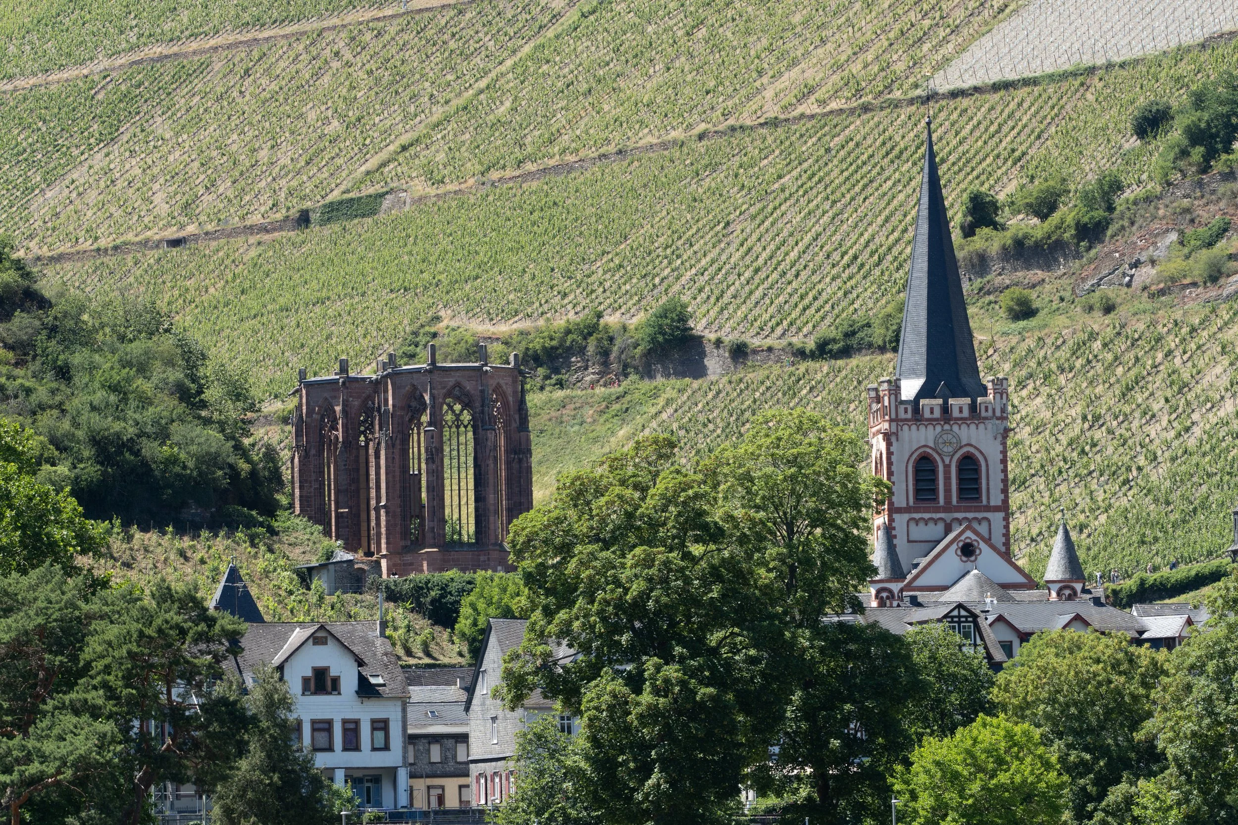 P1072717.jpg