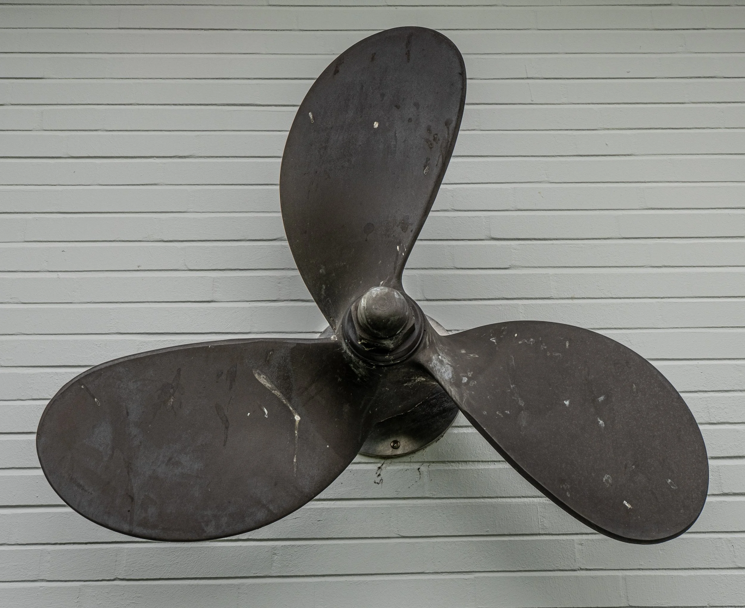 P1072887.jpg