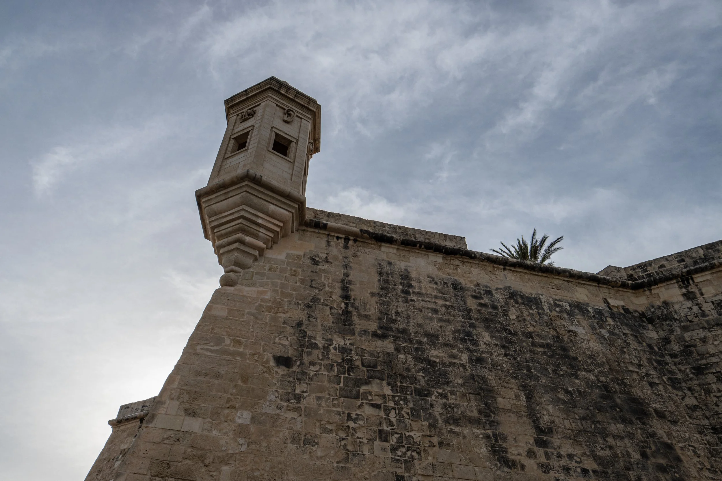 P1073208.jpg