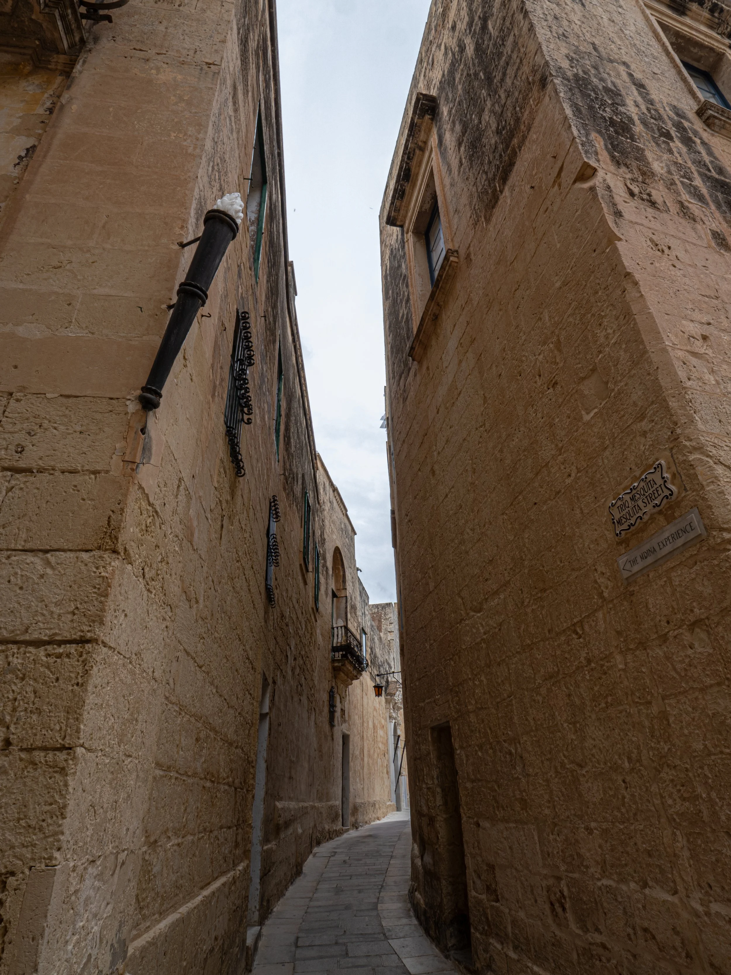 P1073255.jpg