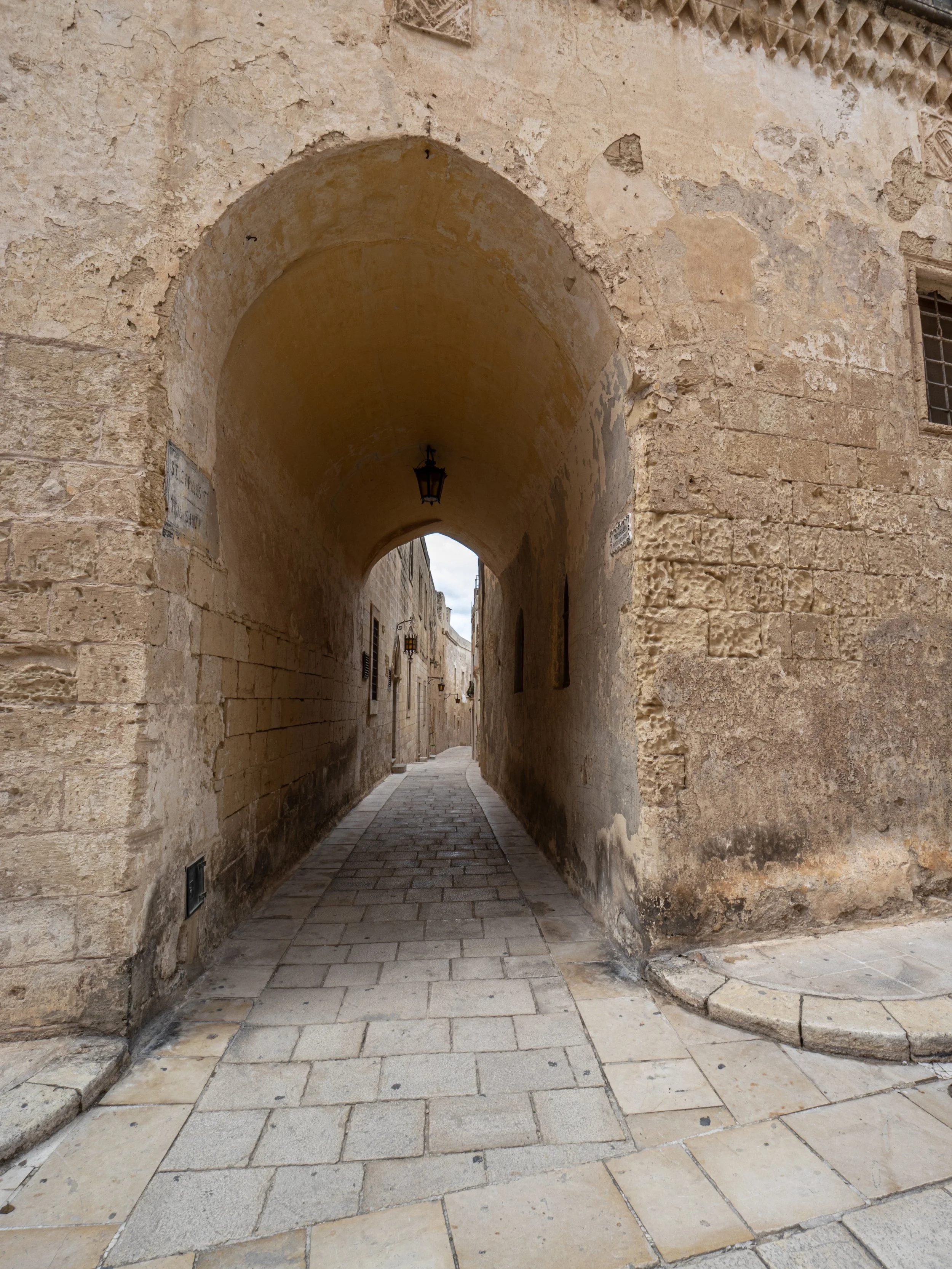 P1073264.jpg
