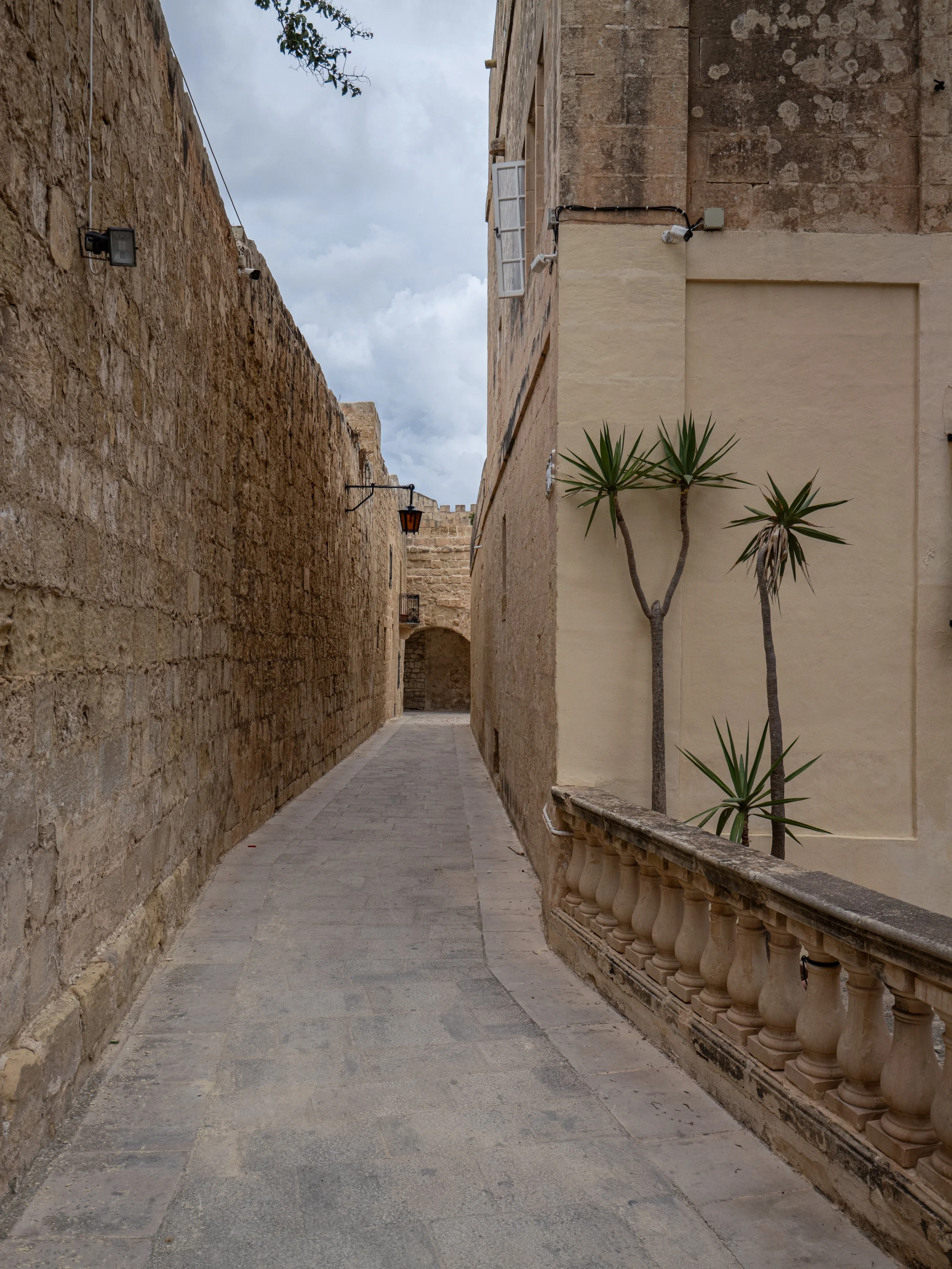 P1073275.jpg