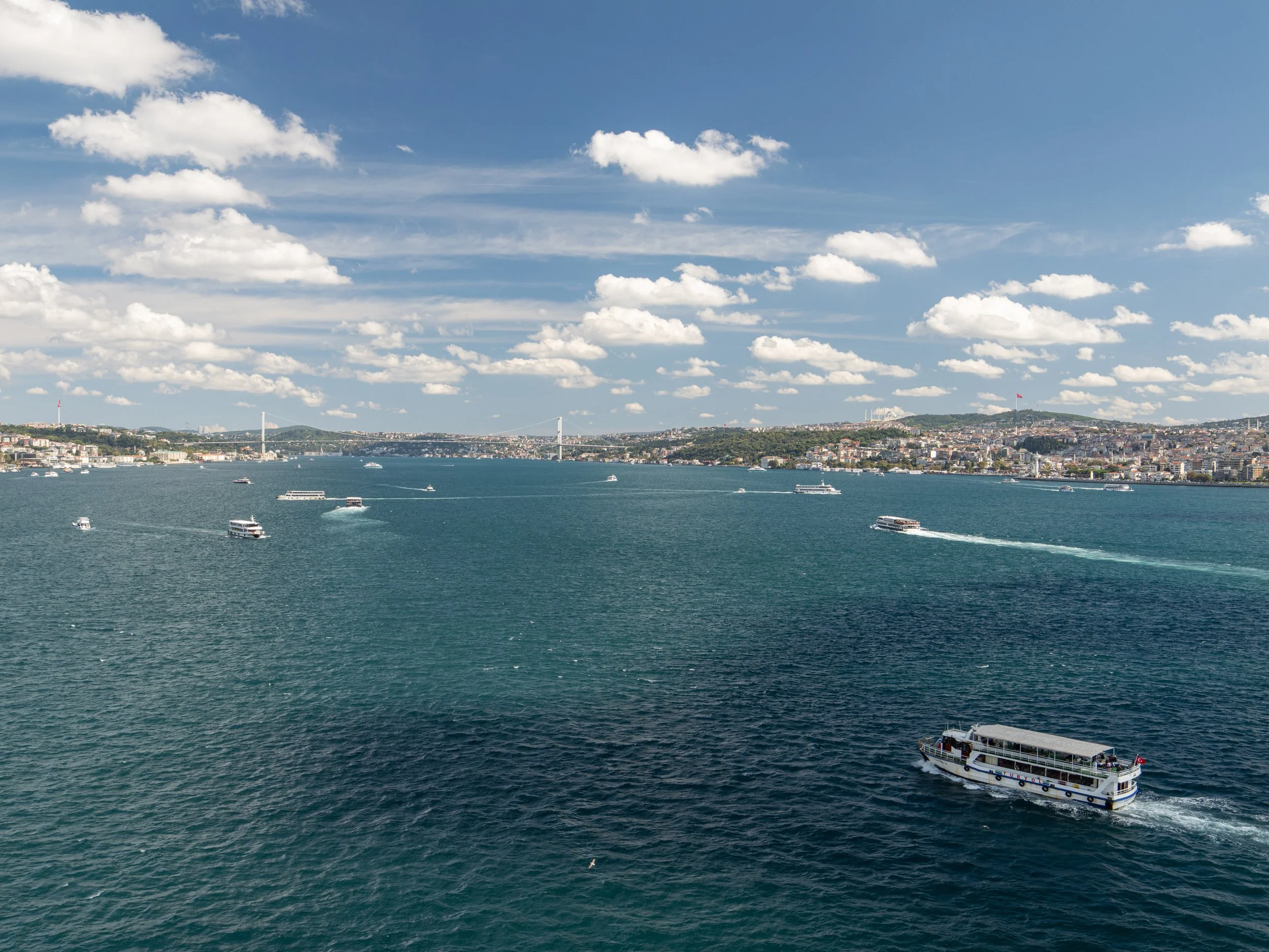 P1073597.jpg