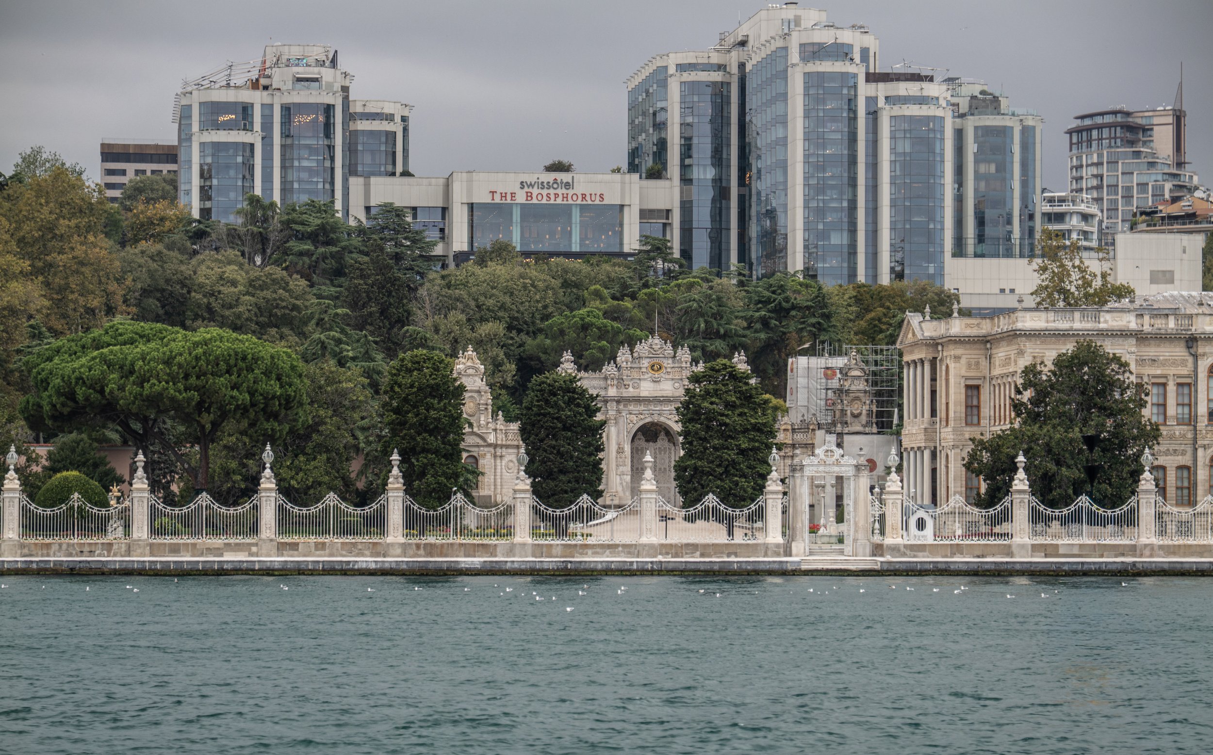 P1073738.jpg