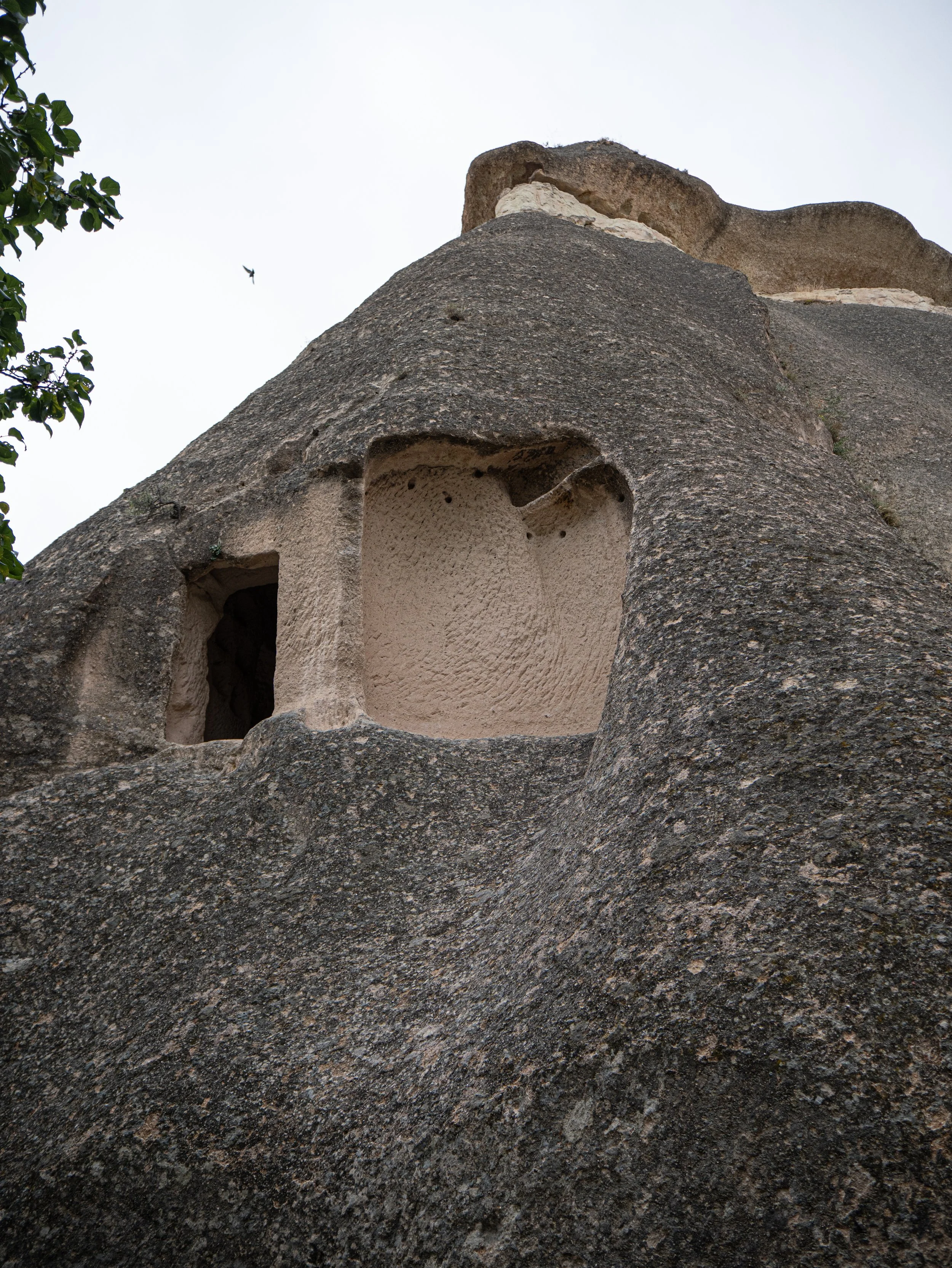 P1083895.jpeg